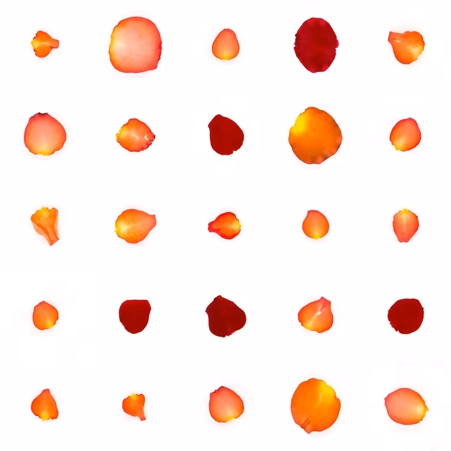 Infinite Petals 5x5#20487