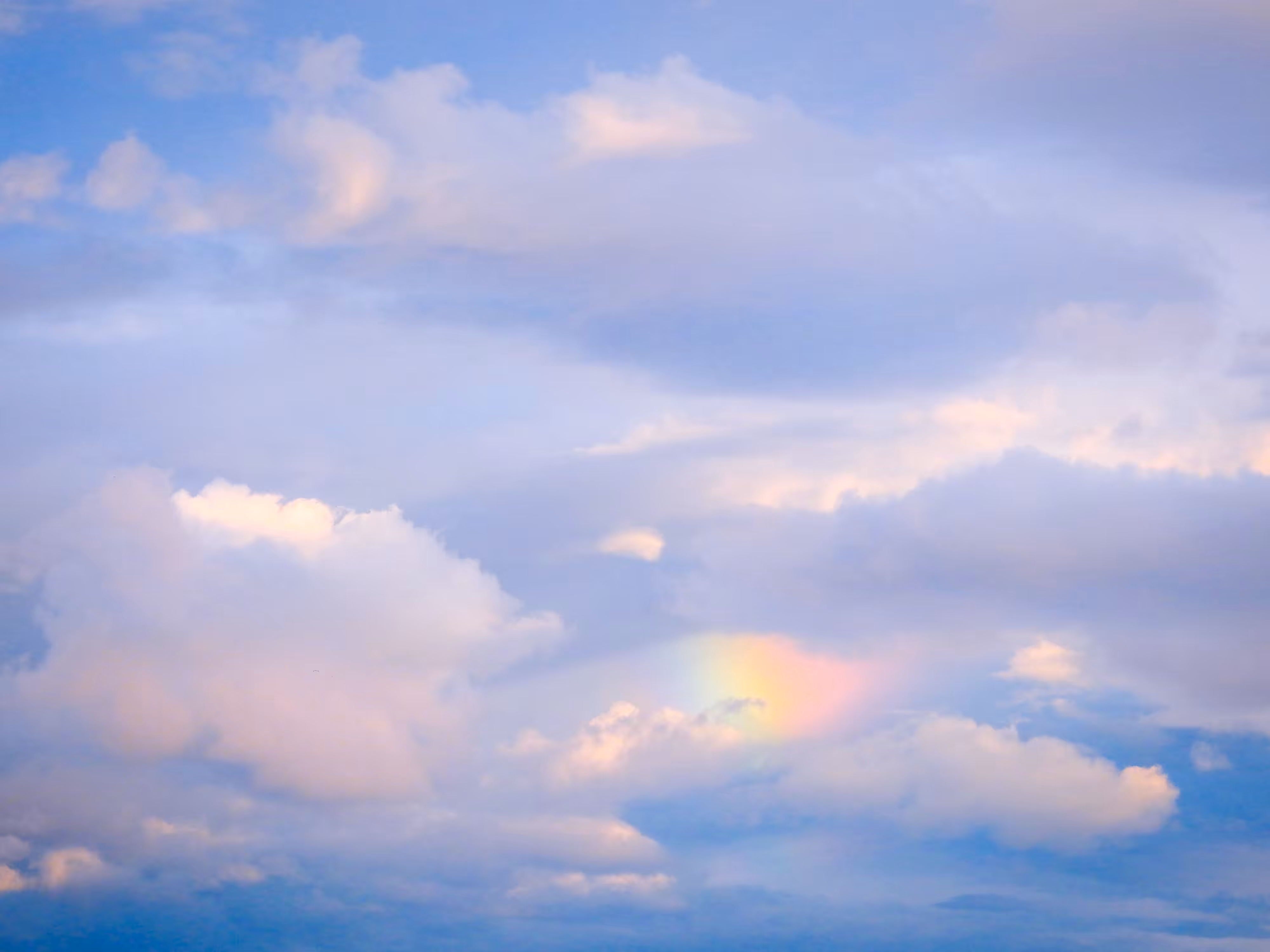 Photos : Baby rainbow 