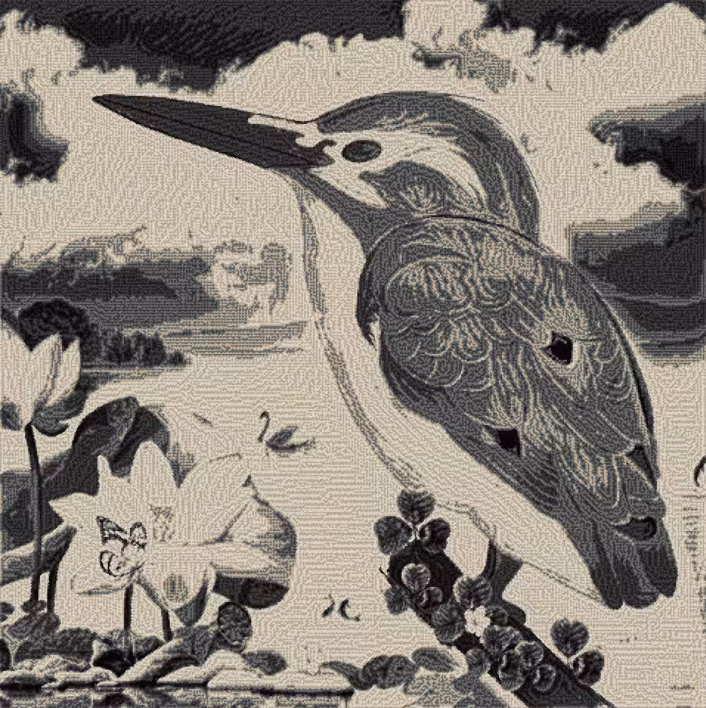 Kingfisher #1