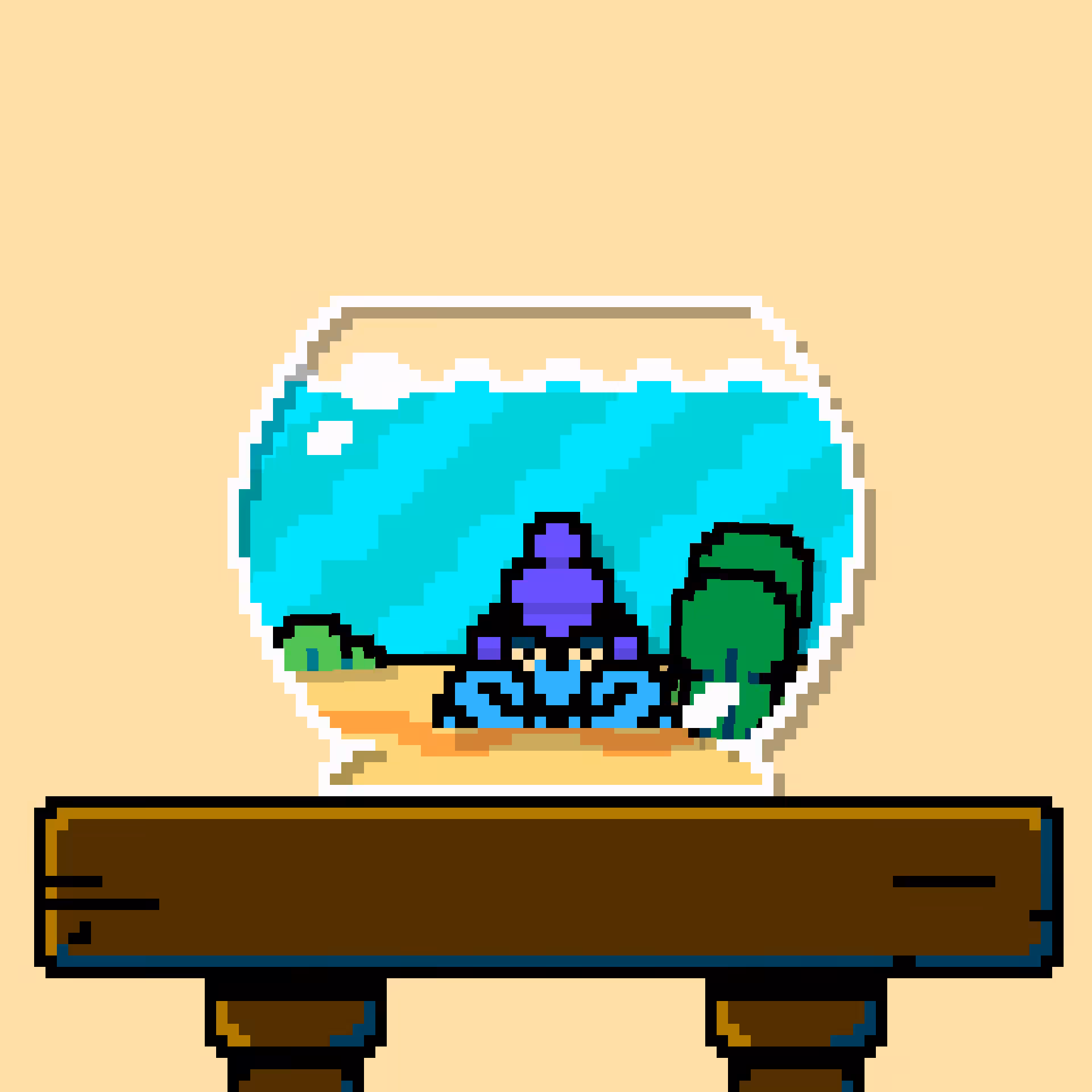 hermit crab #45