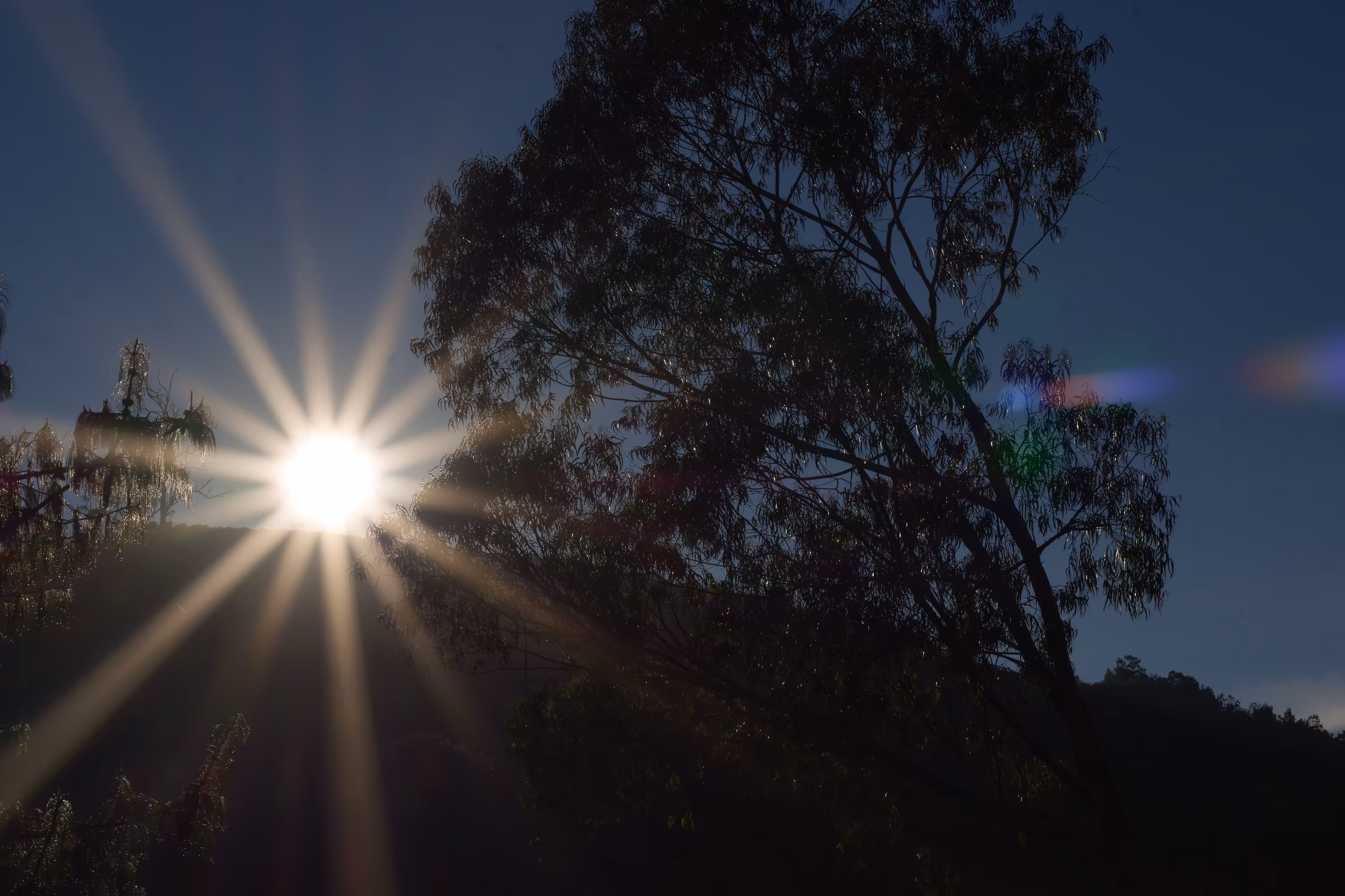 a dream of dawn