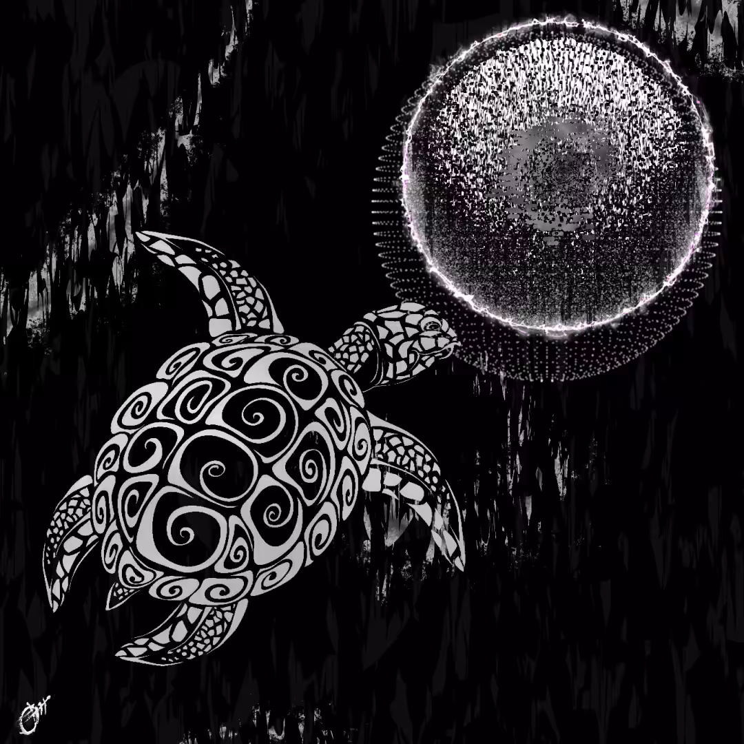 Sea Turtles