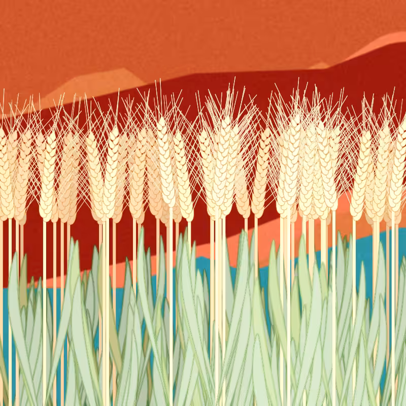 Symbiosis #6