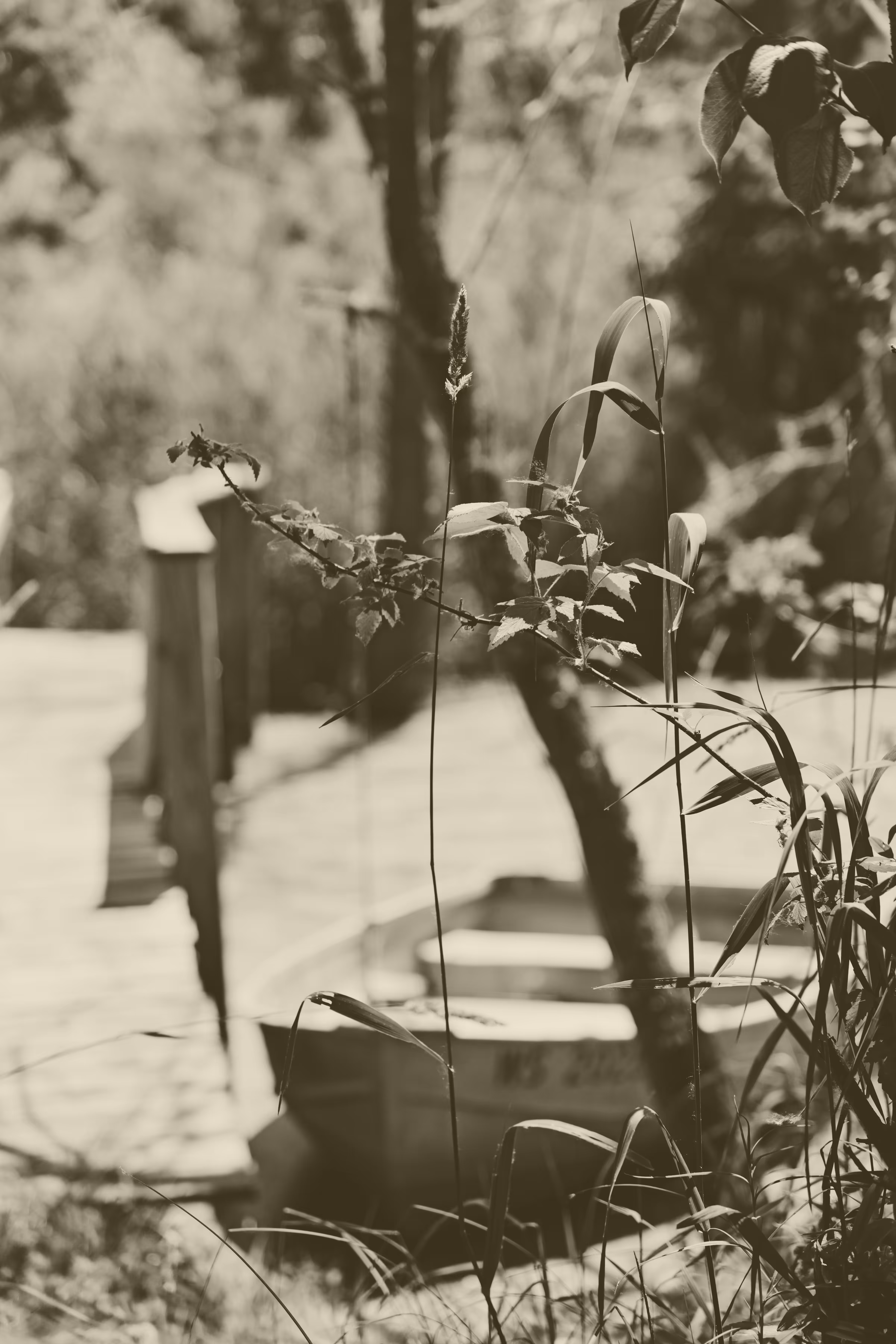 _calm yesterdays