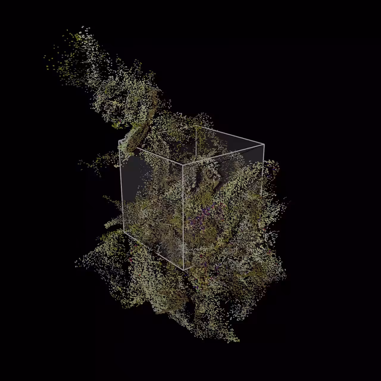 cultivationCube#01