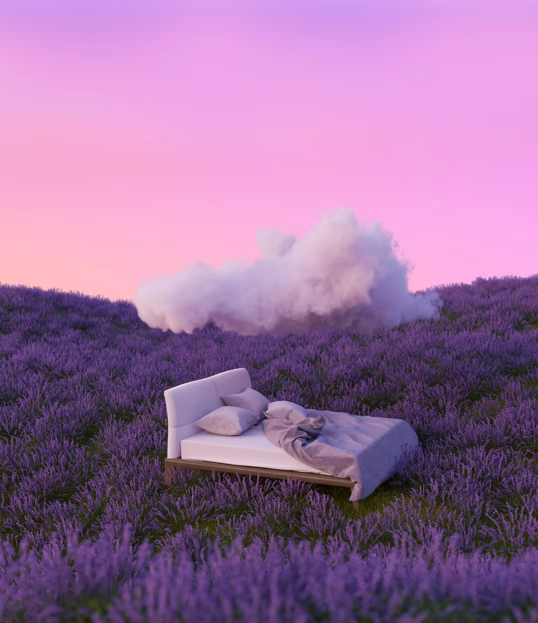 Lavender Dream