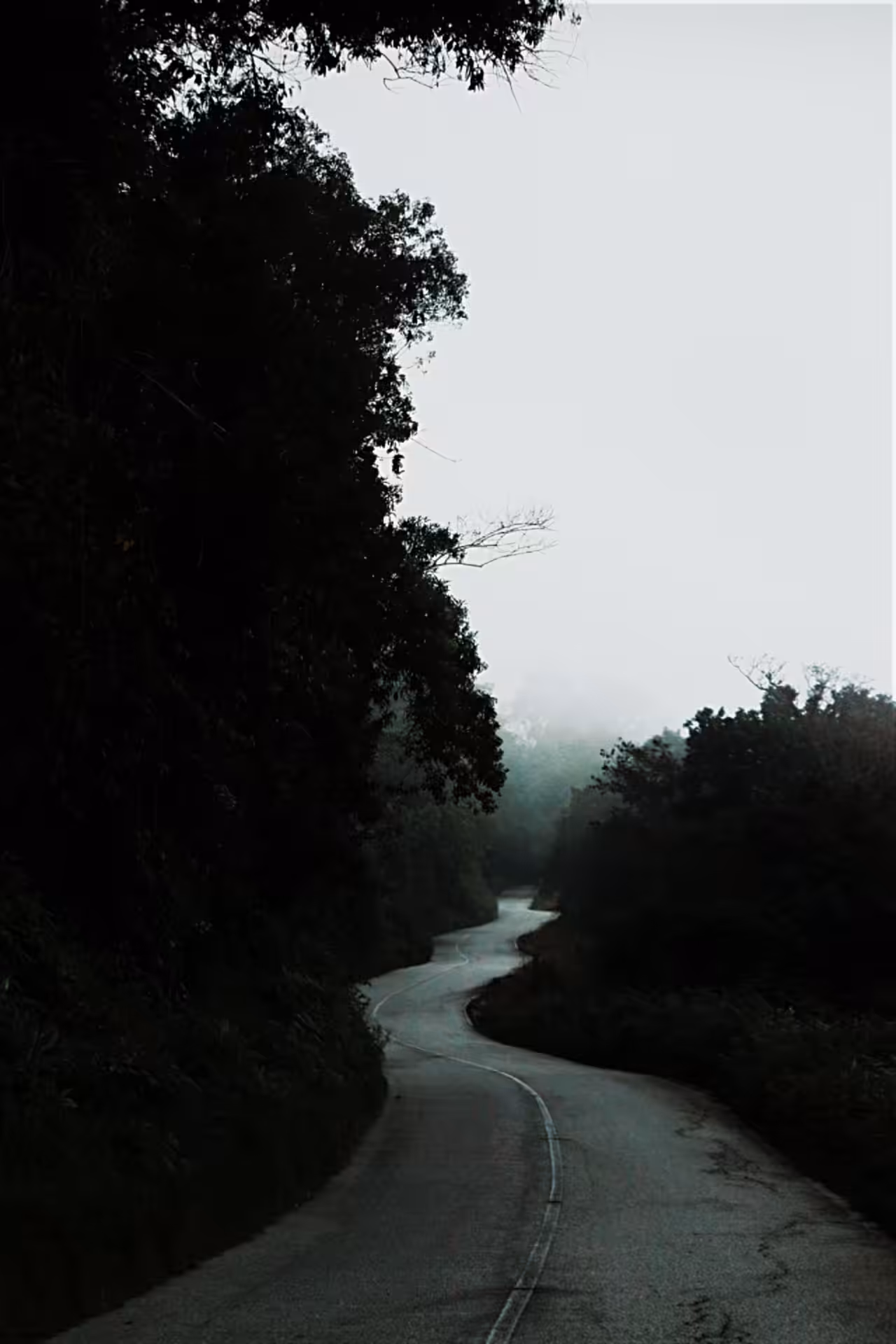 Lost in your curves...