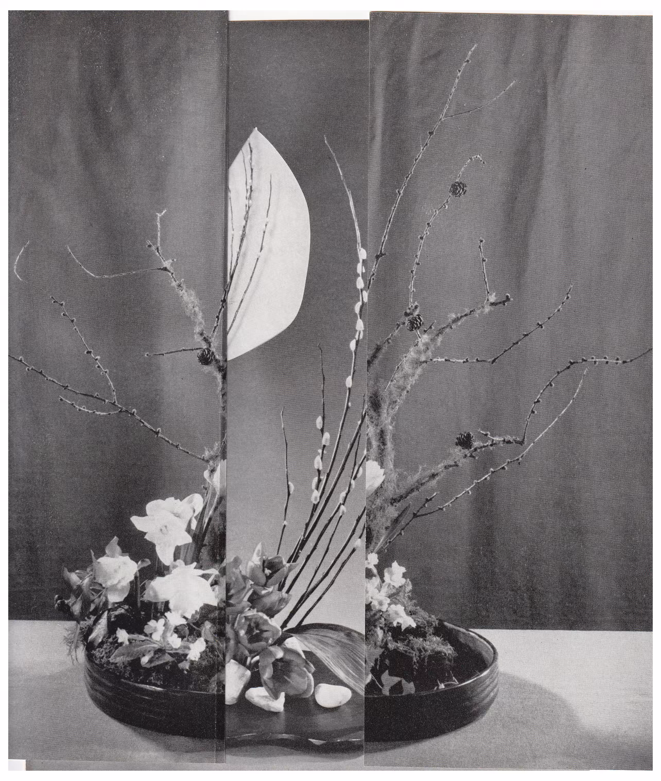 fig. 5