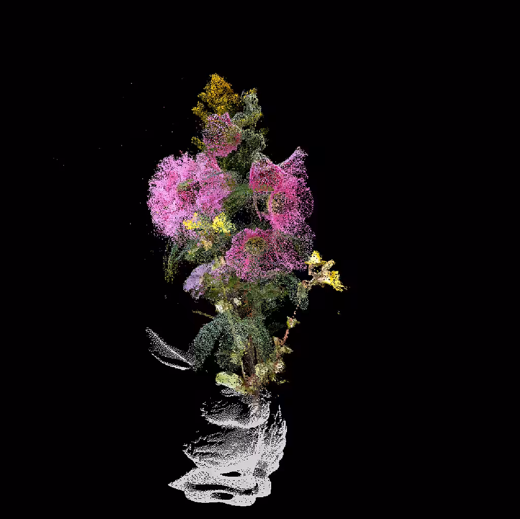 chin, Bouquet for Cyberware 3030 MS (Stanford Bunny)