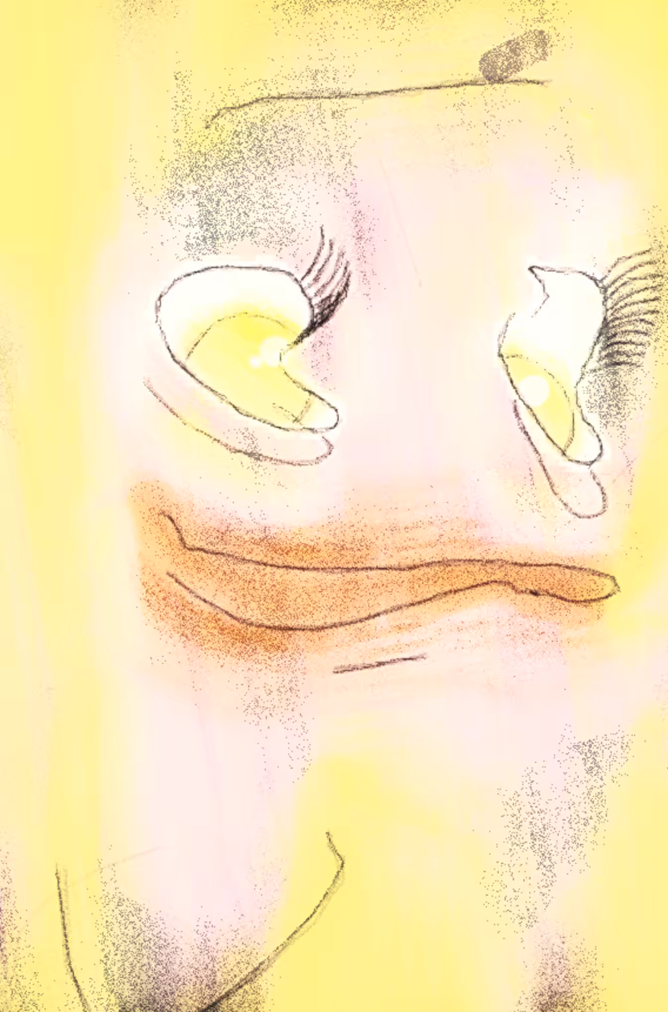 #251
