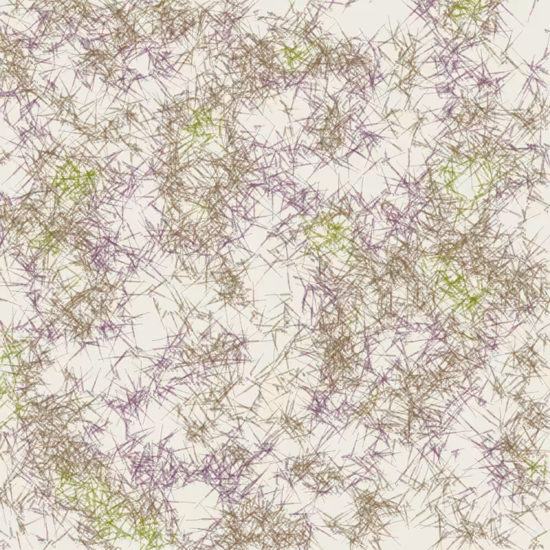 Petri 1500 #1463