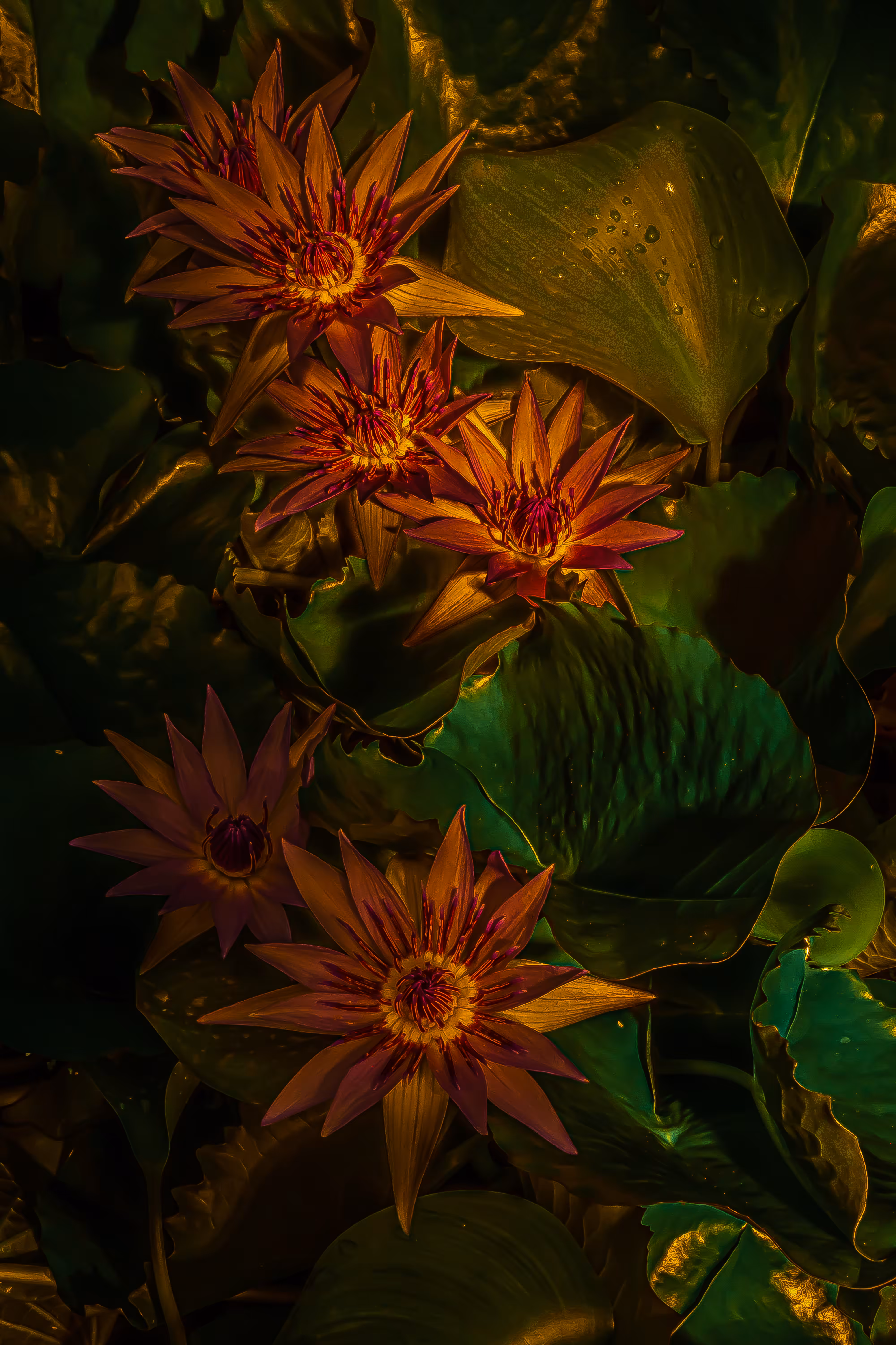 Greenhouse • 3