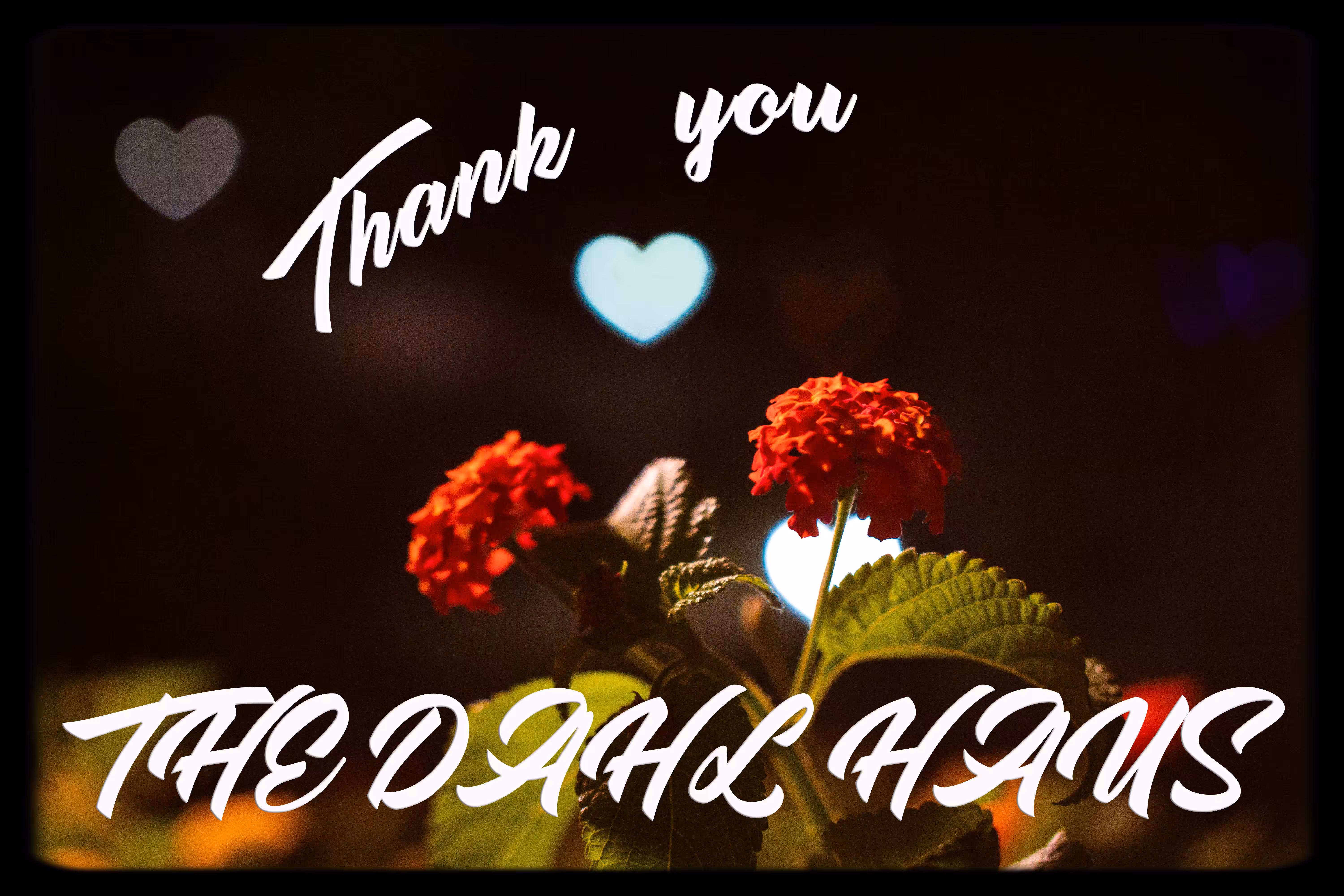 Thank You THE DAHL HAUS