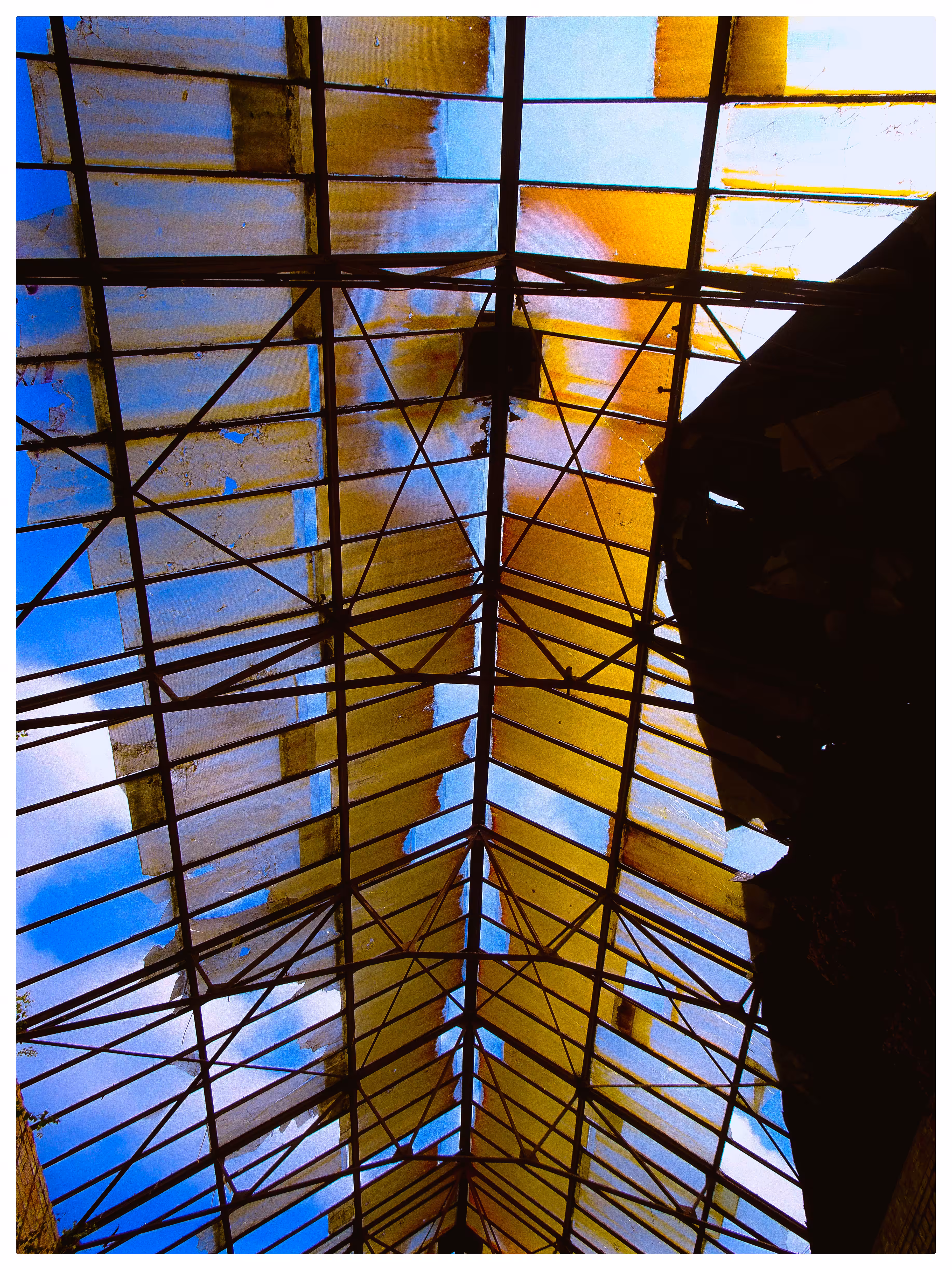 Look up to the Sky