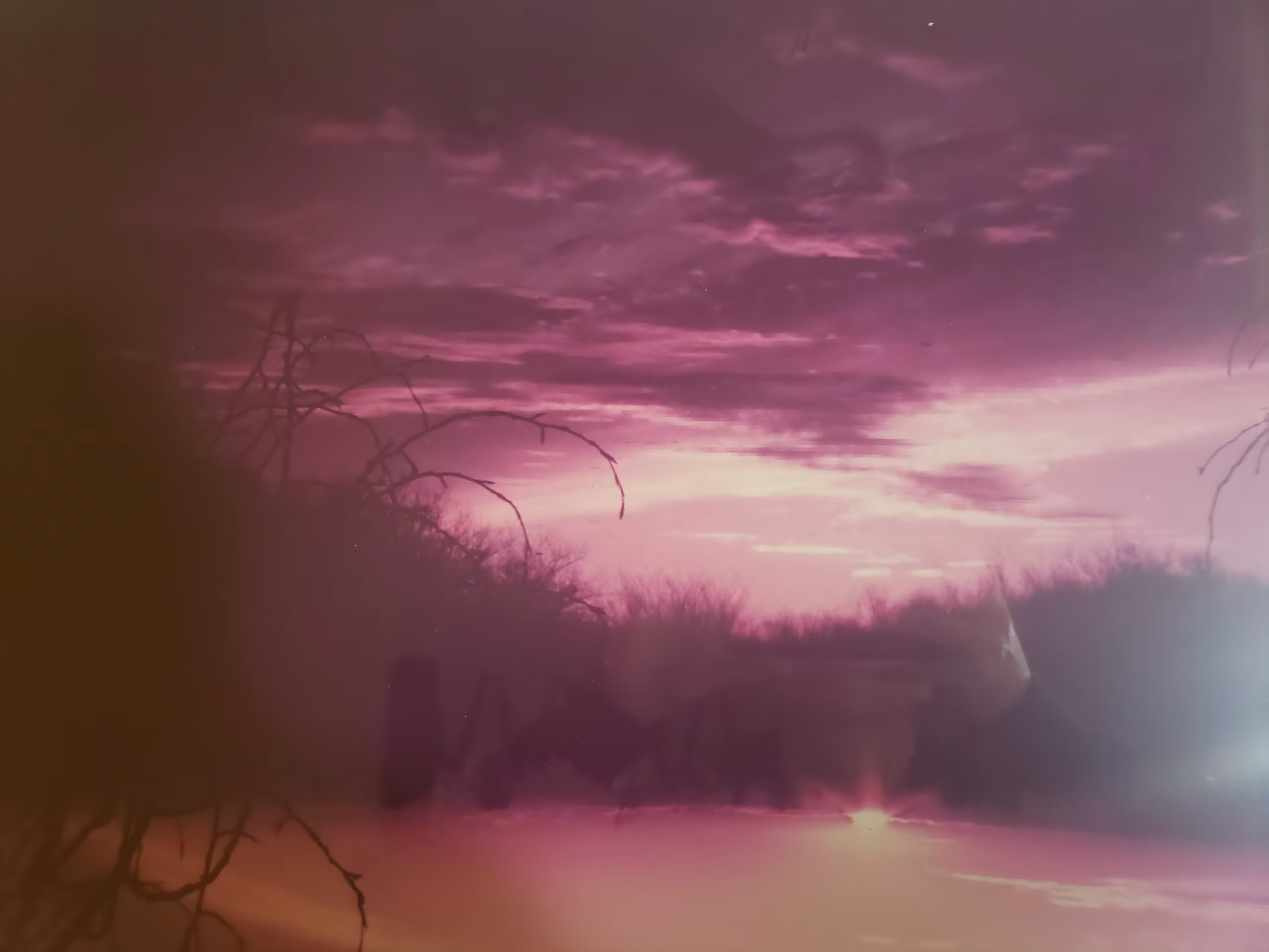 dad's sunset