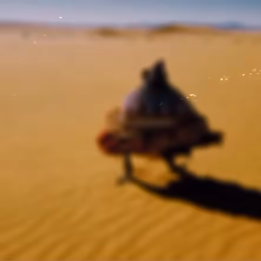 Shaman frog looking inside himself for the answers that are already there