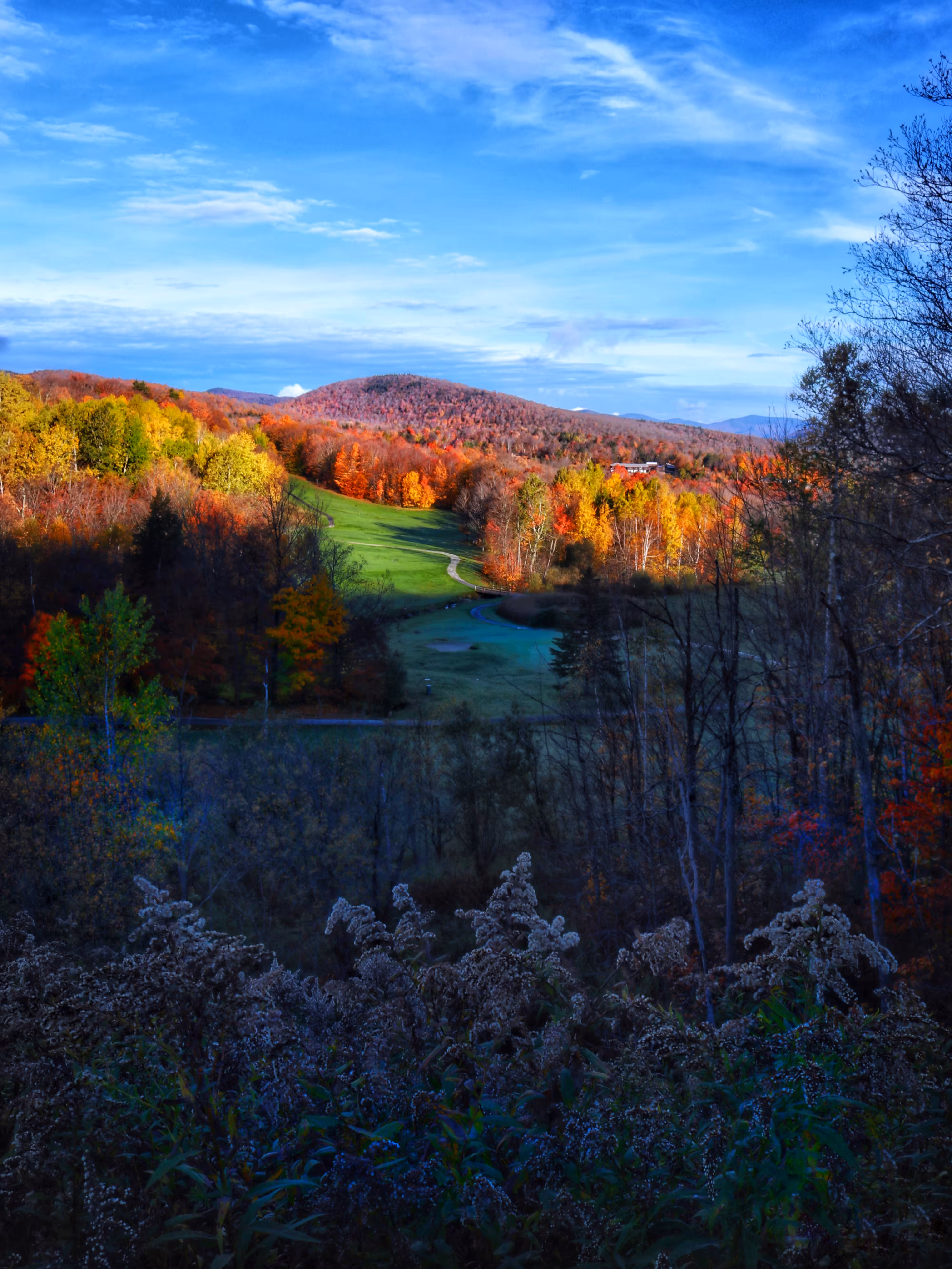 Fall from Maine!
