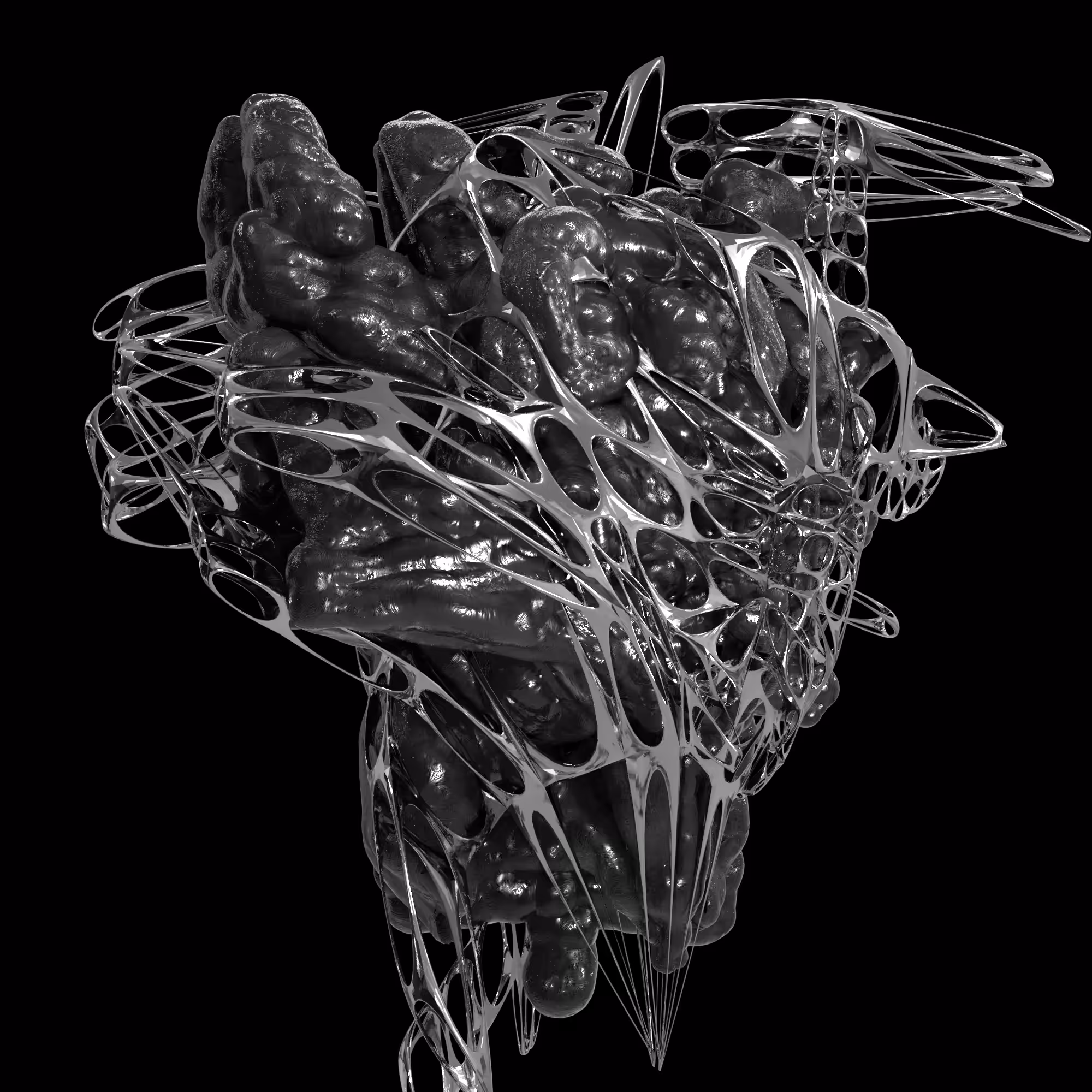 NIXPW TRANSMUTATION 0001