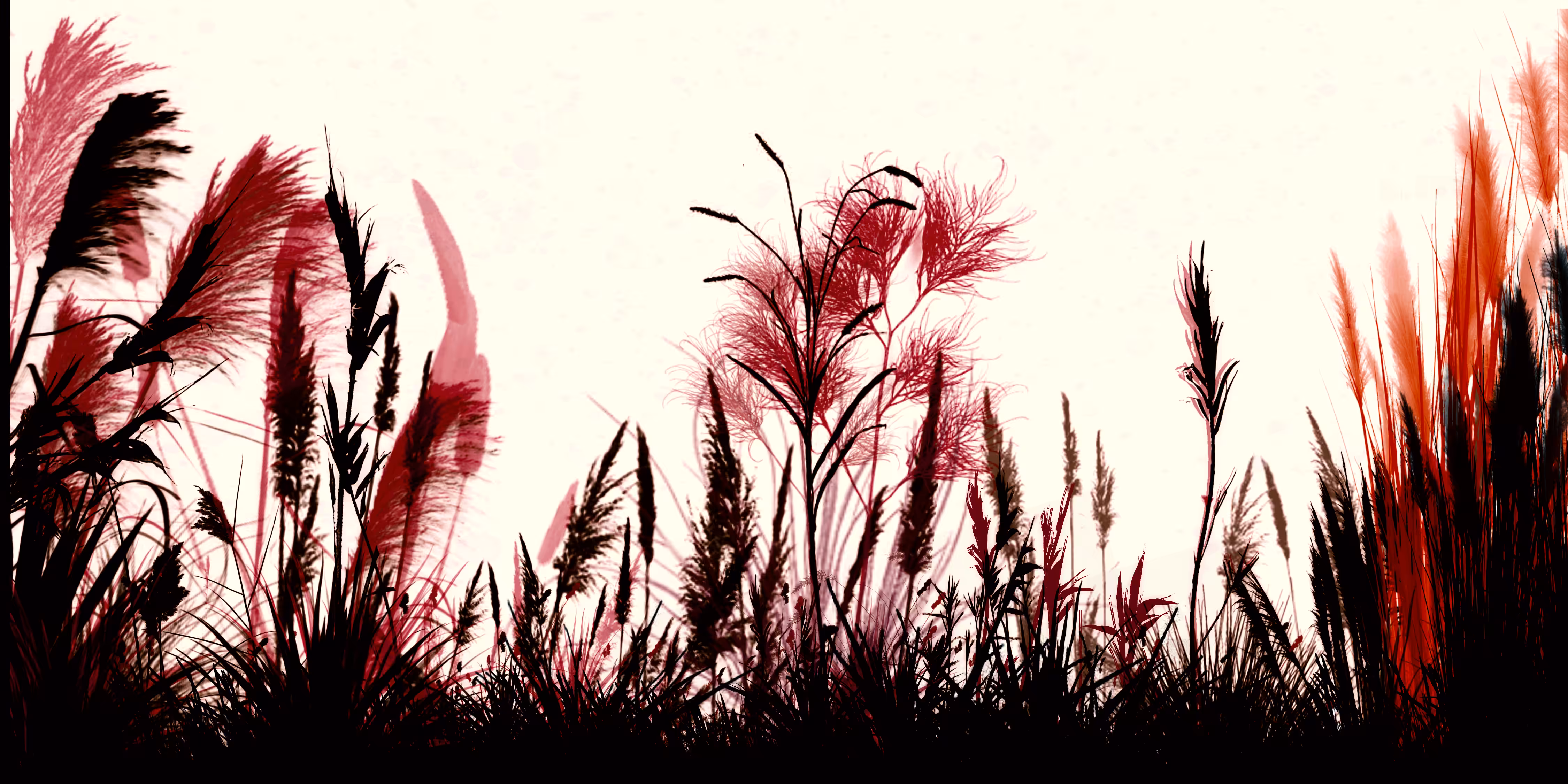 NaturalGarden Part1. Color's Anomaly 