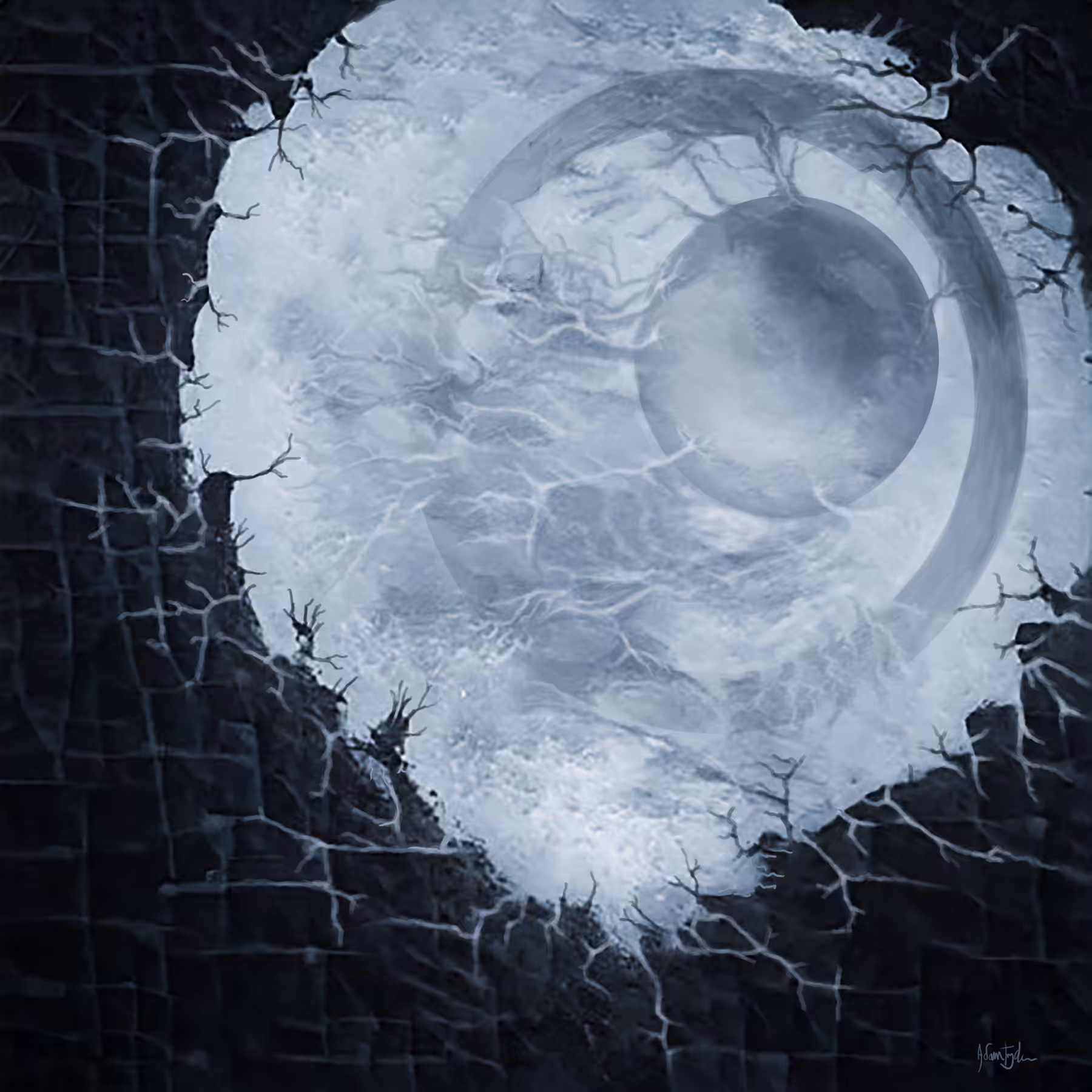 Abstract No.9 - Embryonic