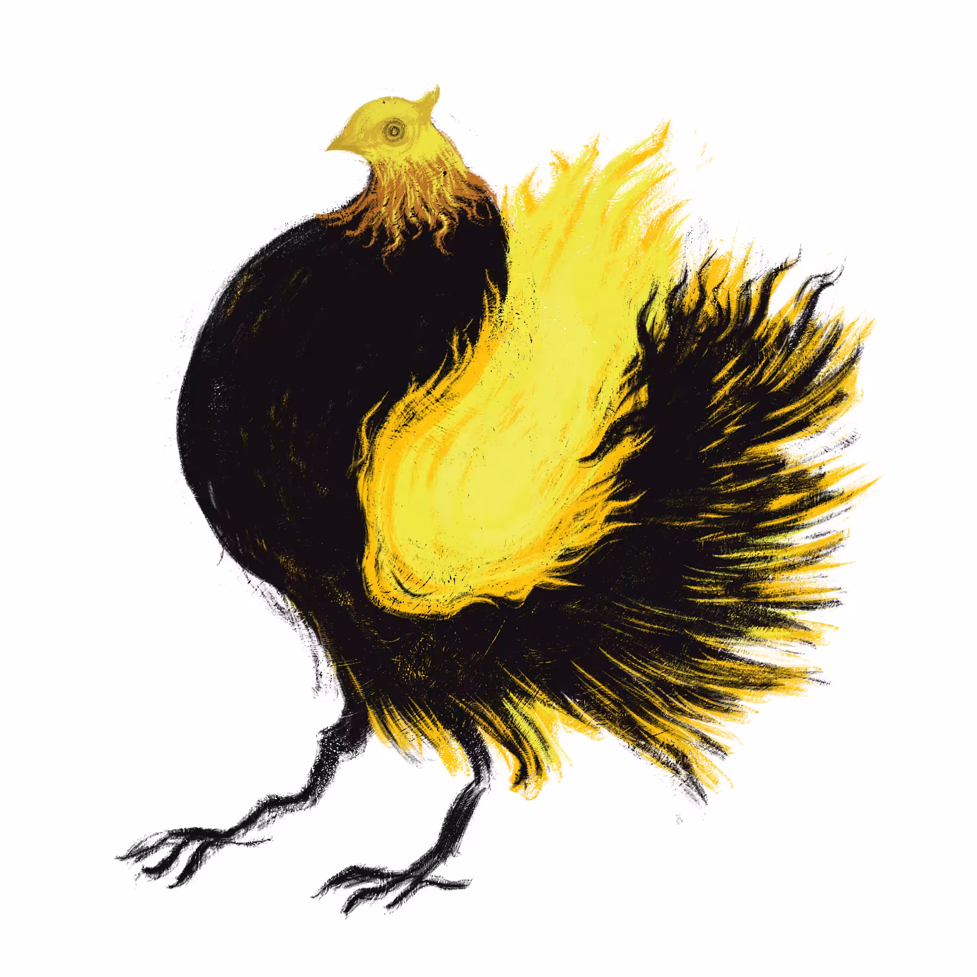 Bird 1