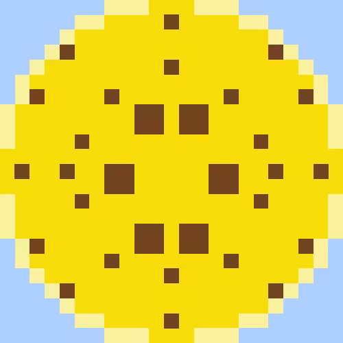 CARDANO COIN