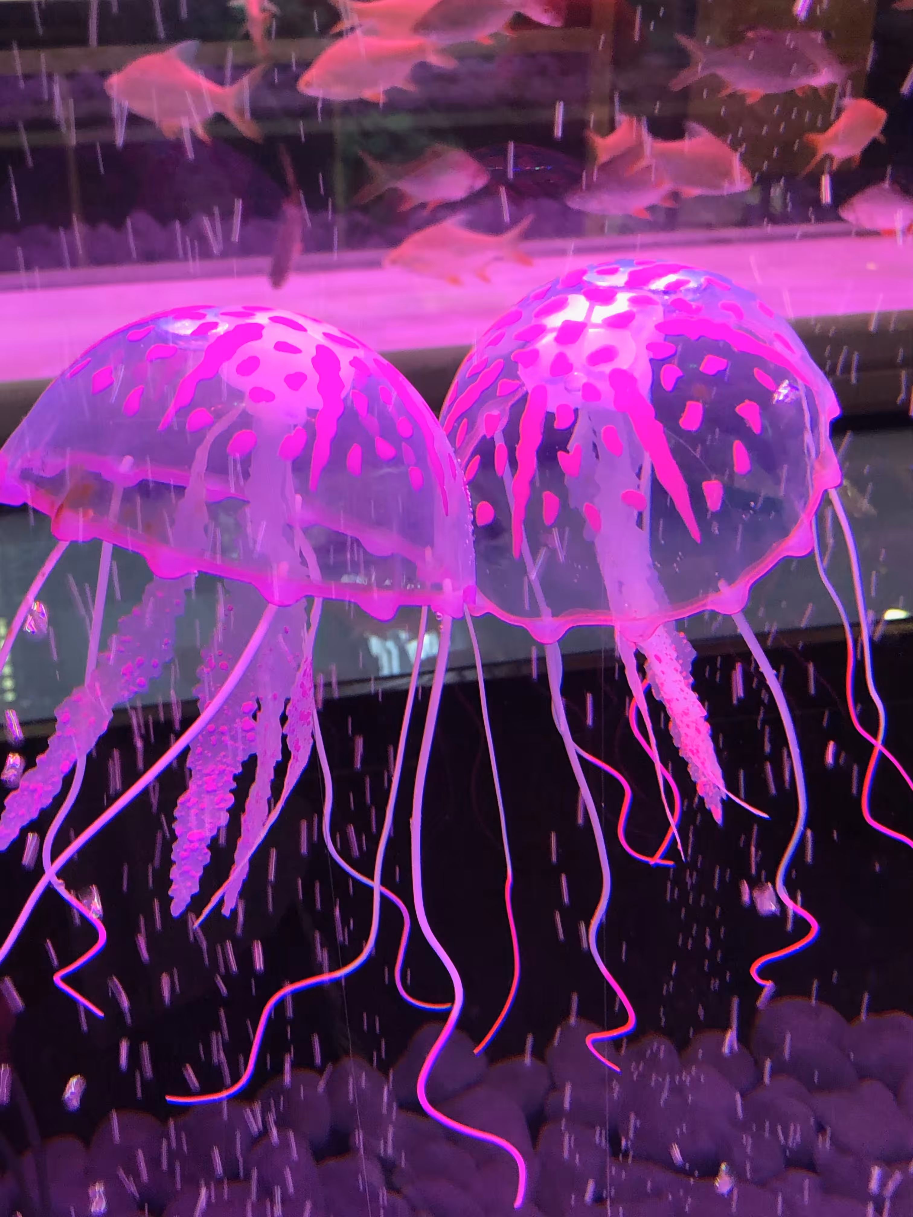 Neon Jellyfish