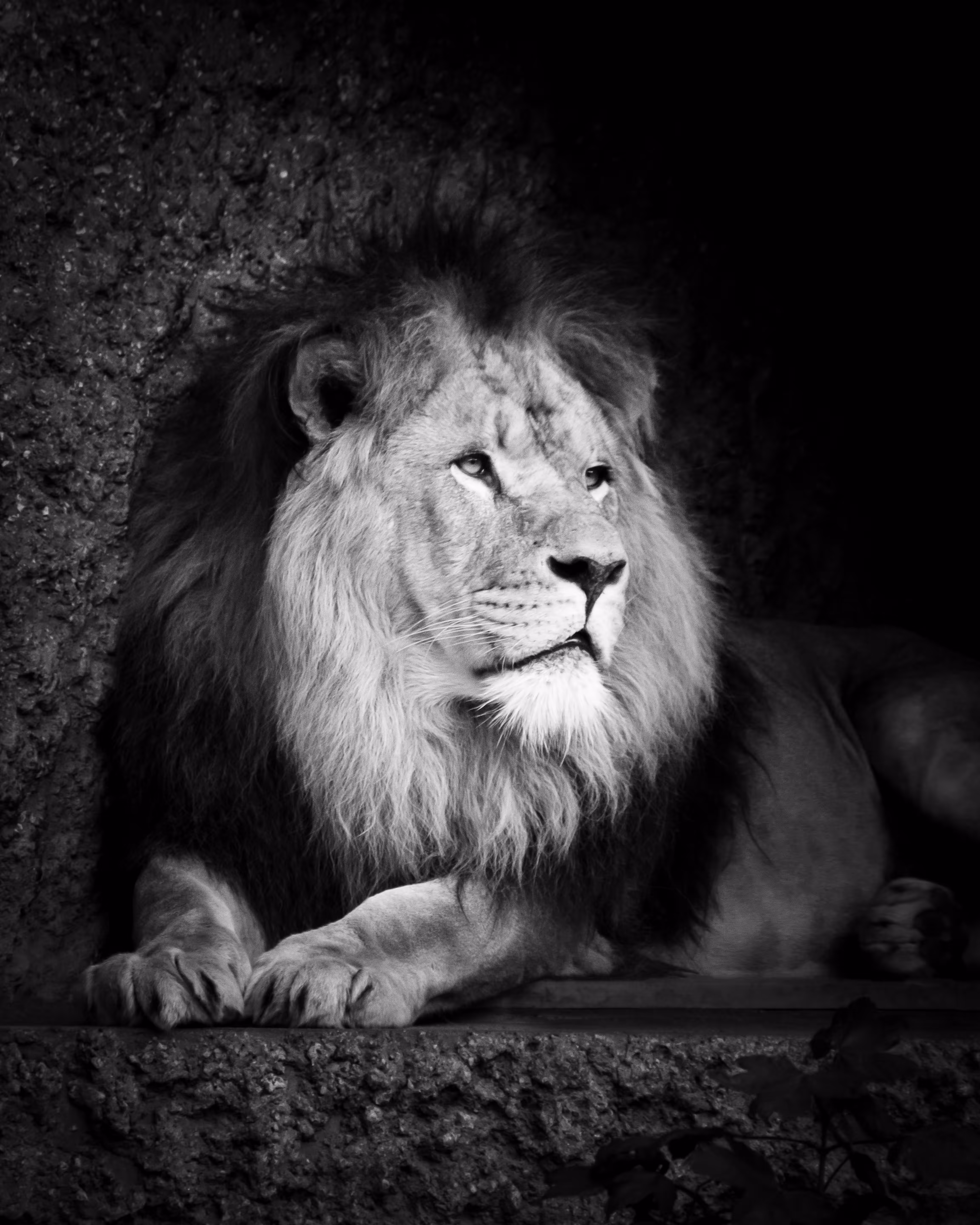 Pride