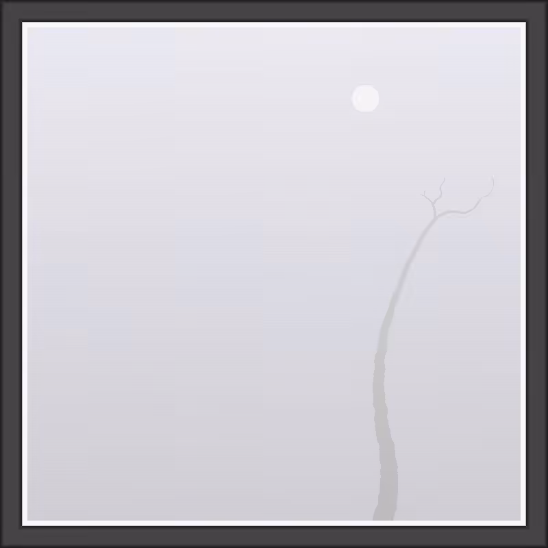 The Foggy Trees #71