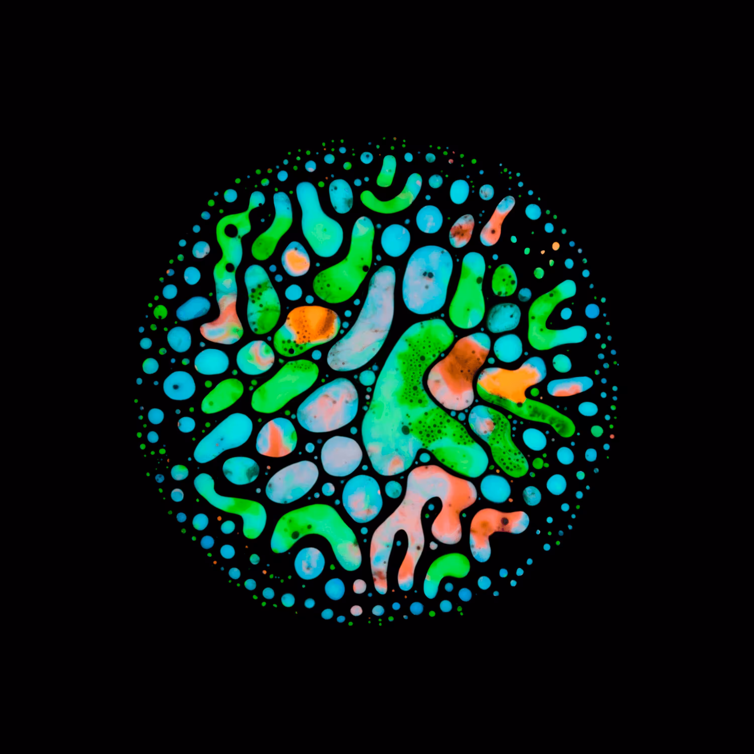 Haematopoiesis #126