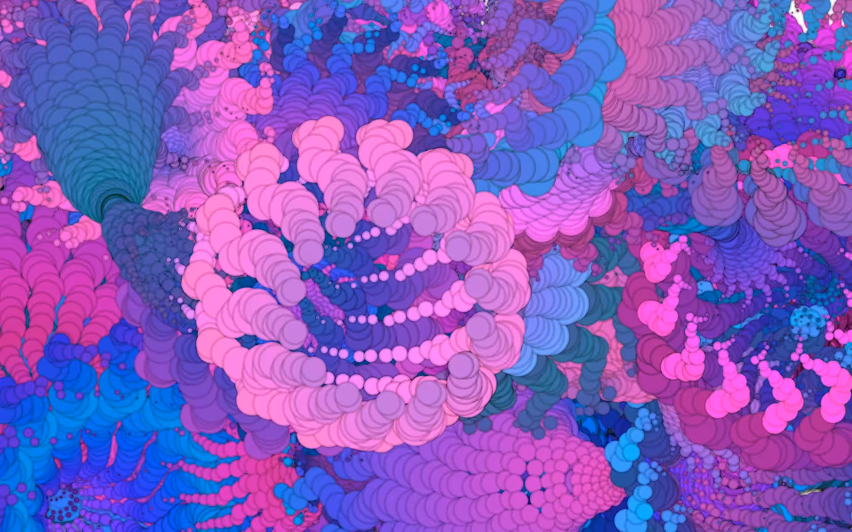 Coral Circles
