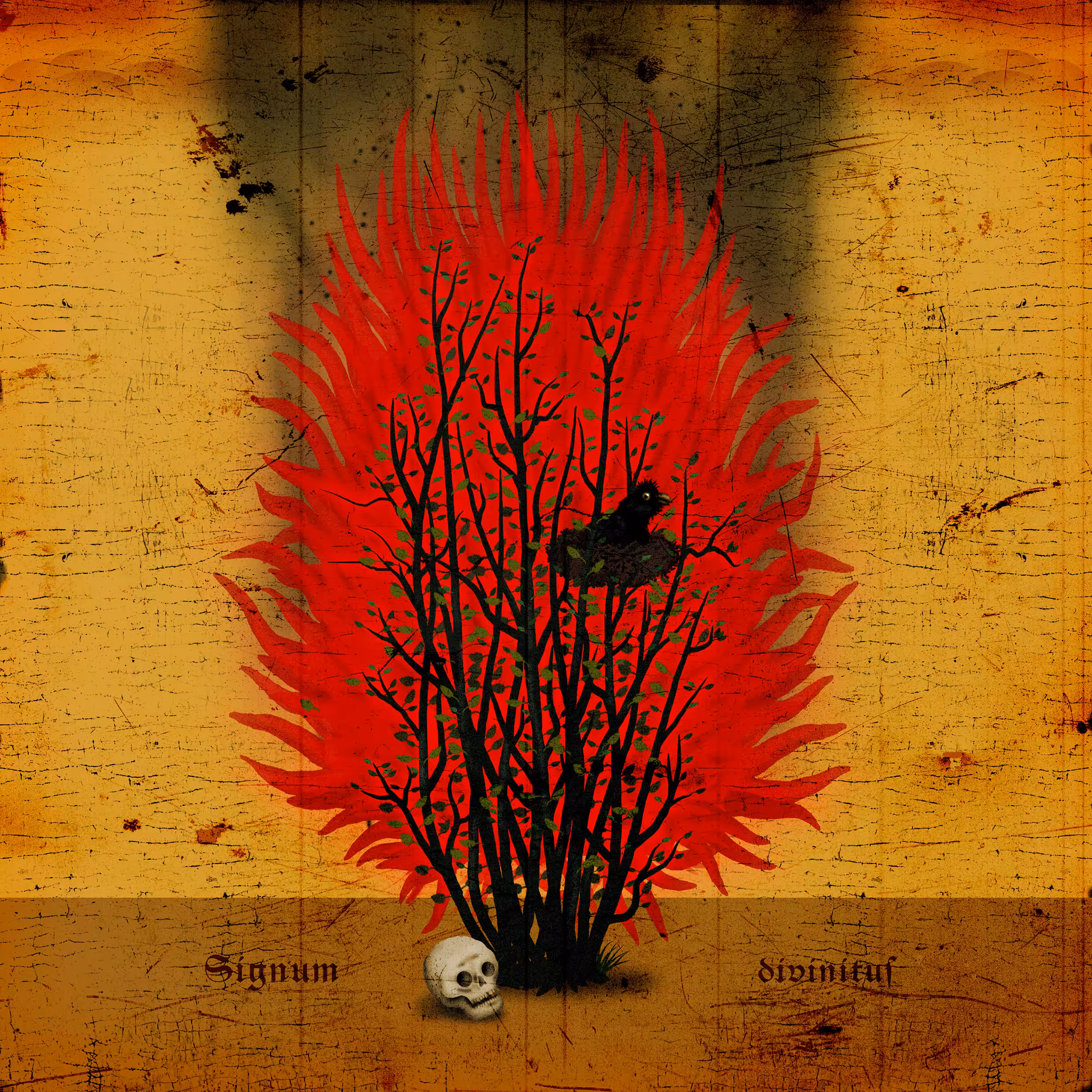 Burning Bush