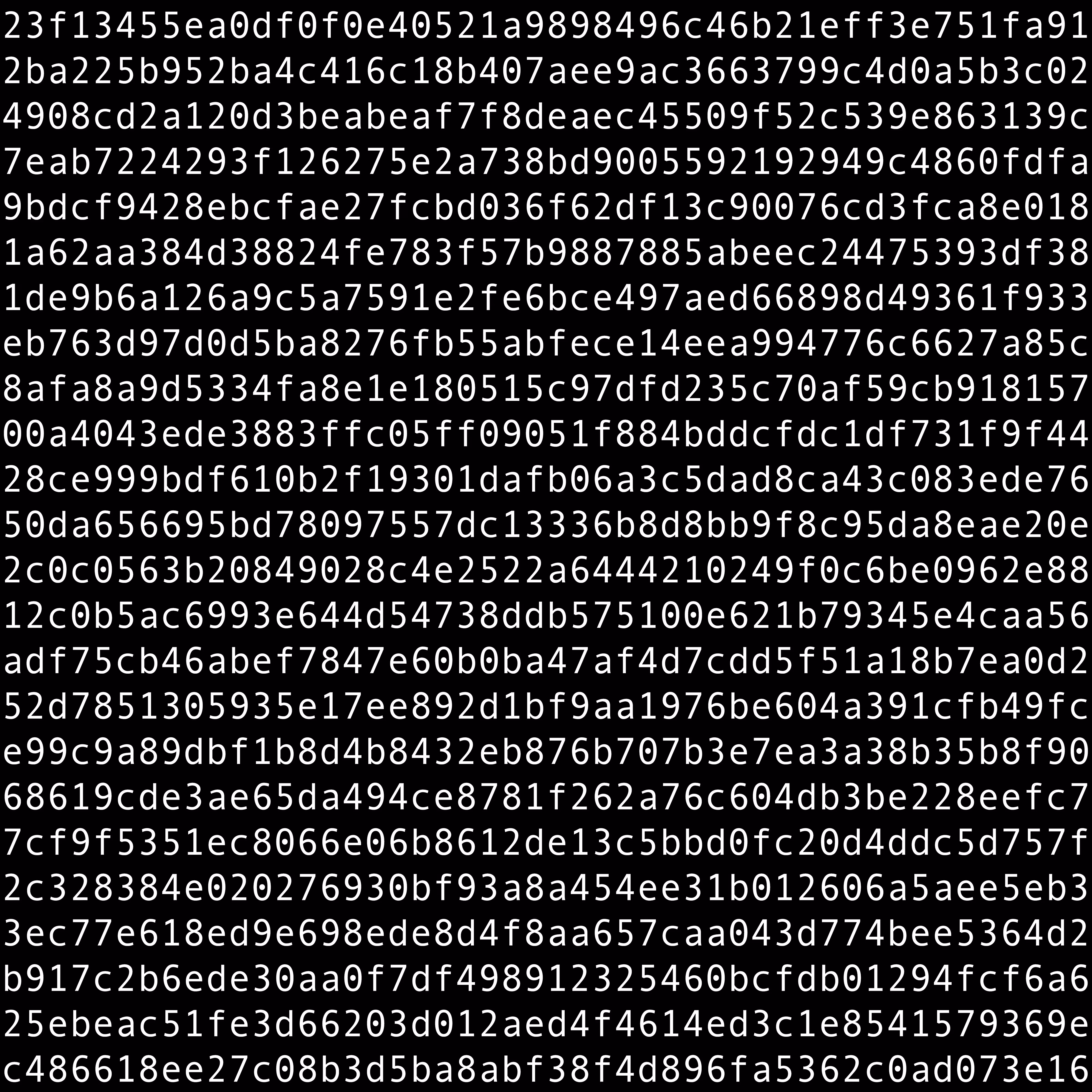 1111 #0491