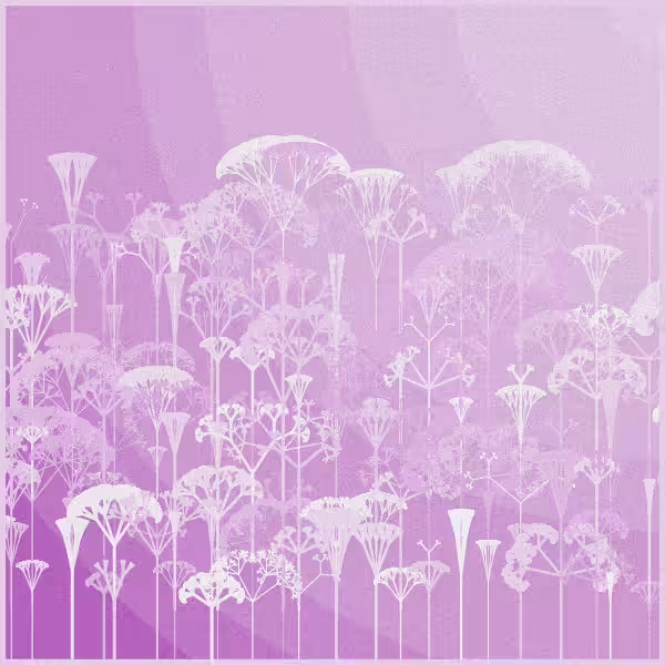 SERENITY #6