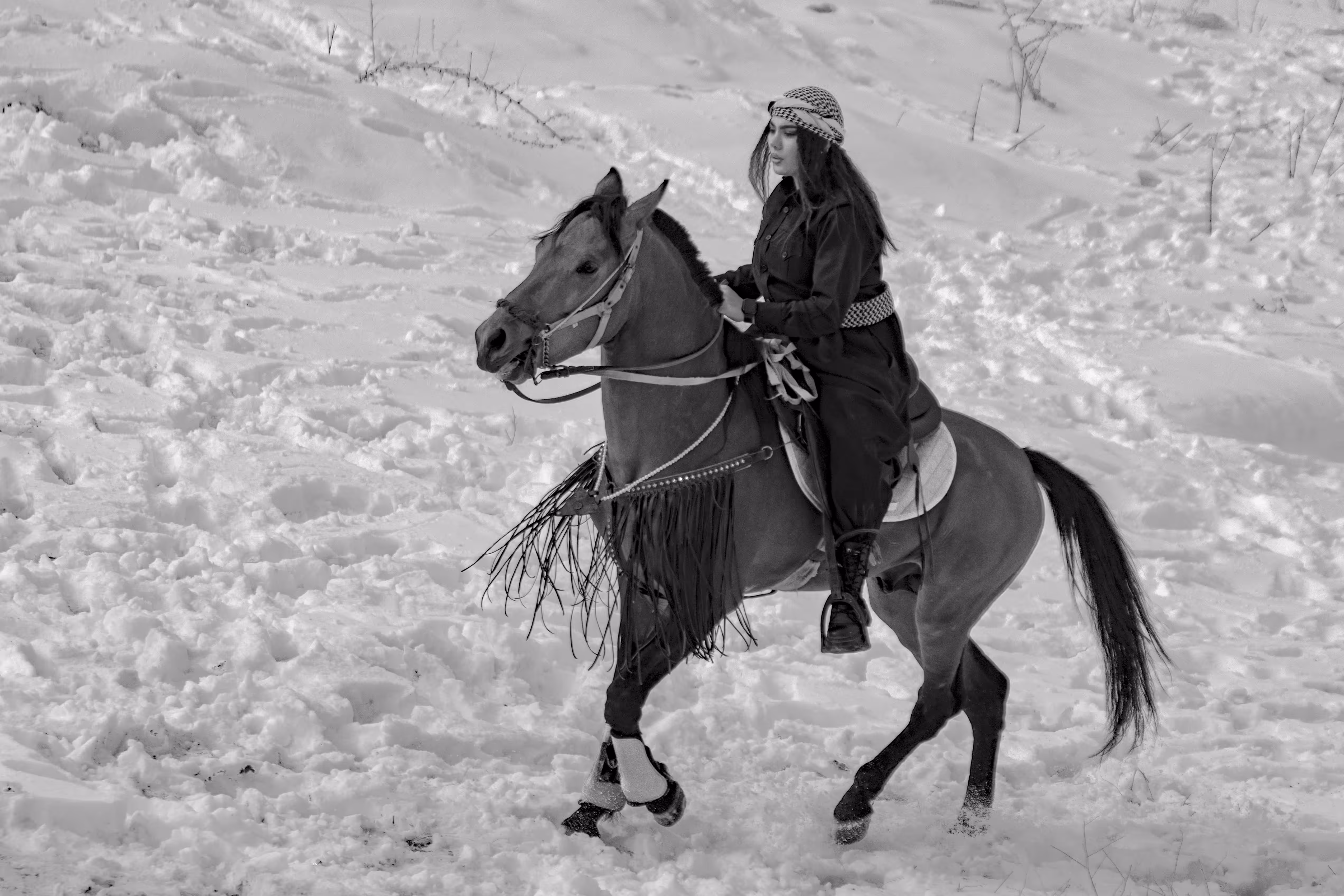 The Happy Valley: Kurdish Horse Rider