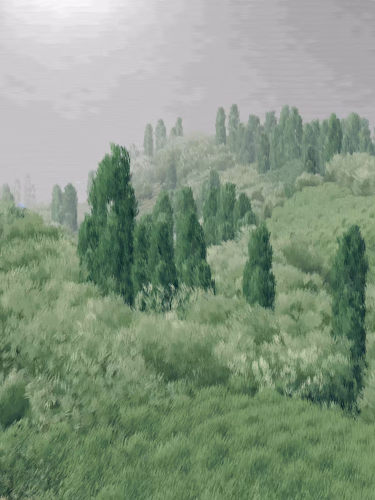 Provence #296