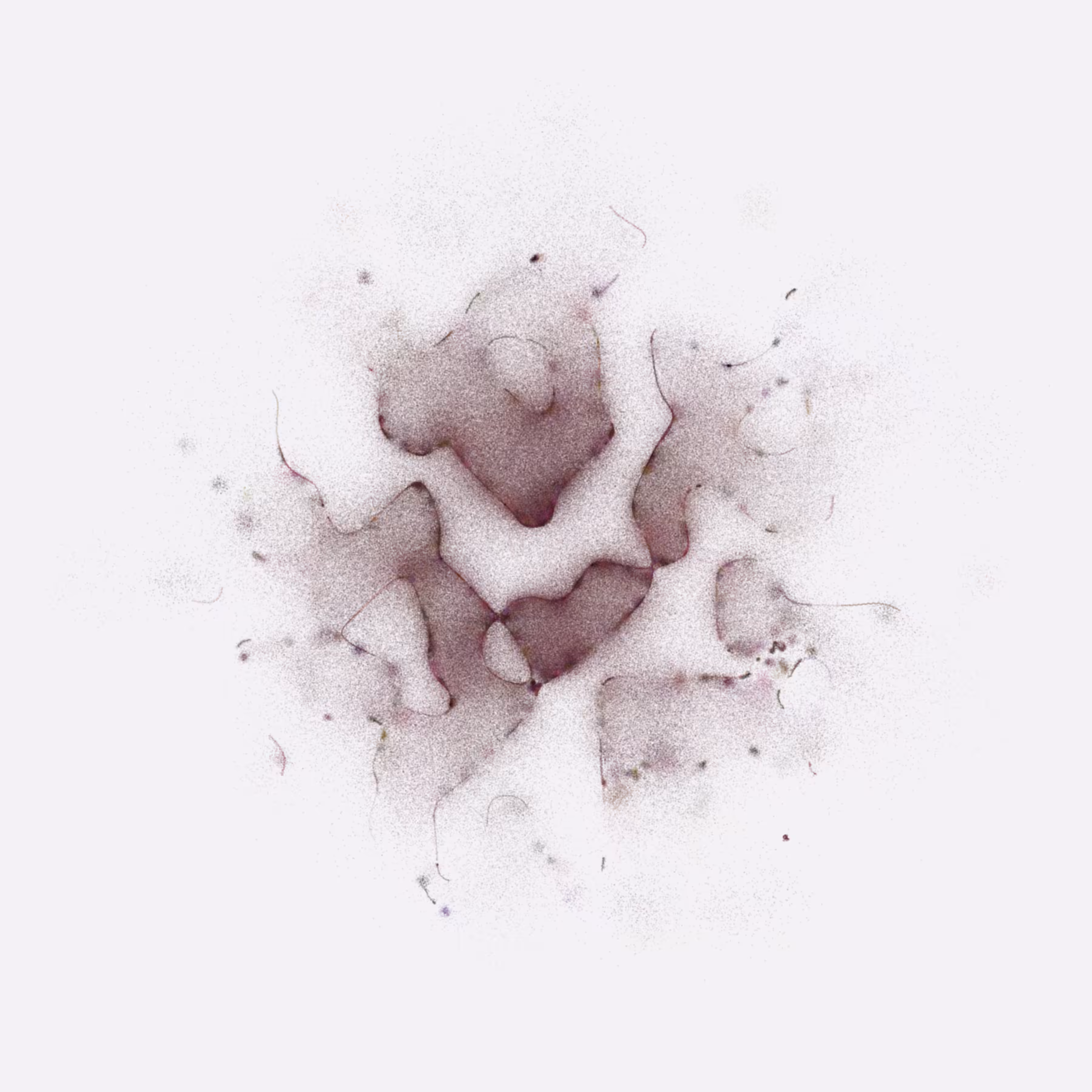 Membrane #24