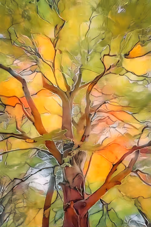 A Million Trees