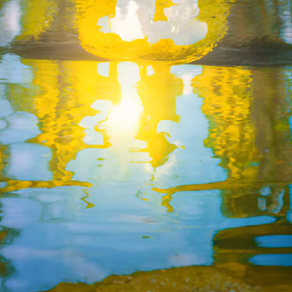Infinite Images ∞ 514