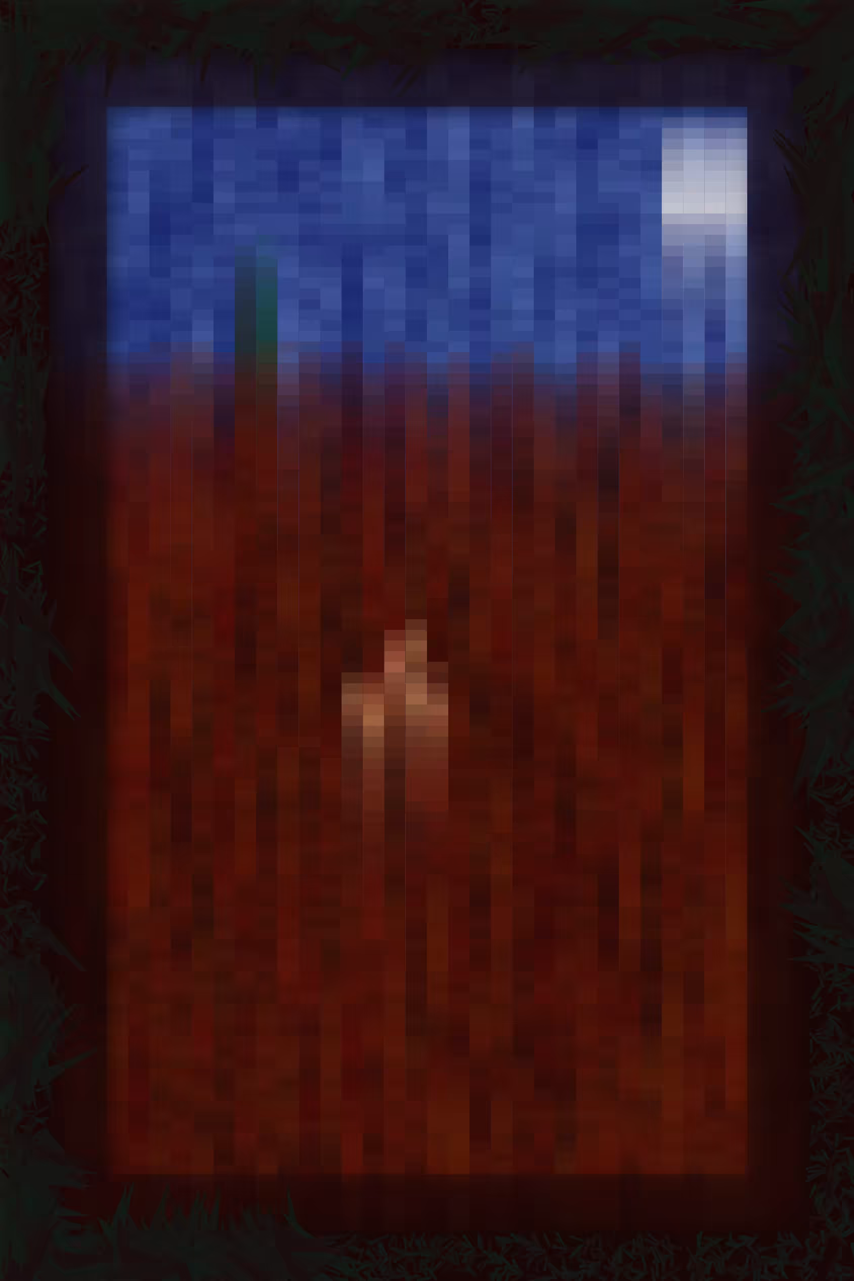 marfa mirage