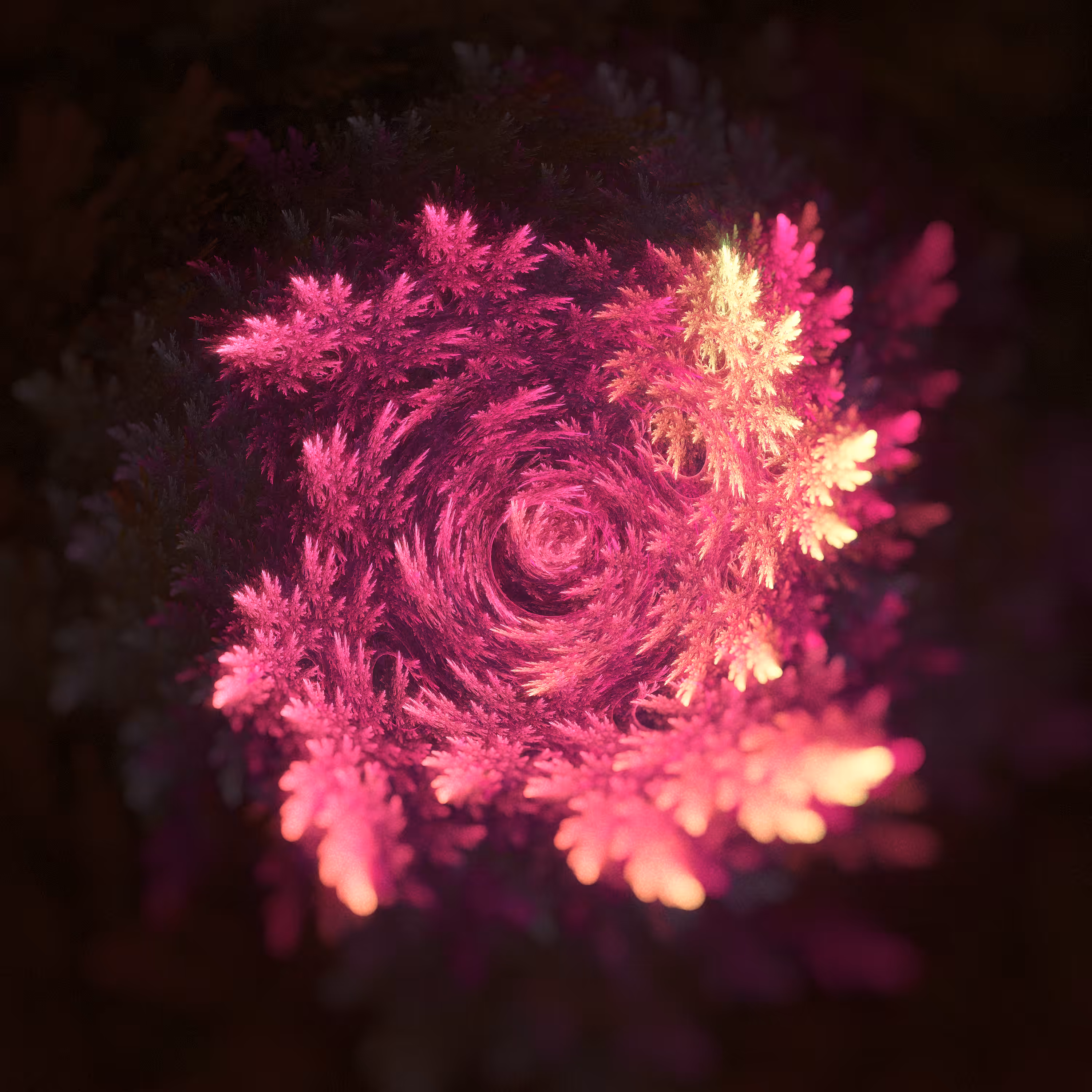 Fractal Anarchy \\ Series 001 \\ Fractal 008