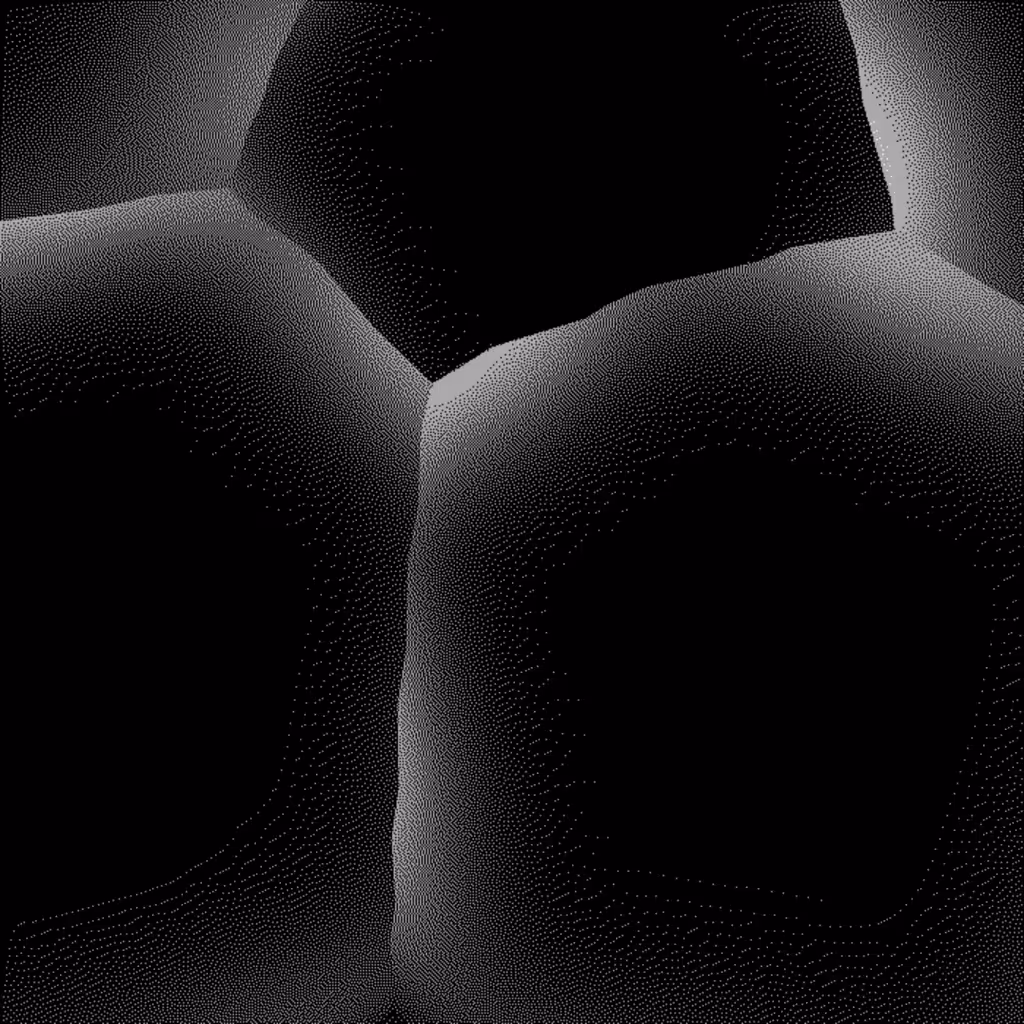 Black on black #10