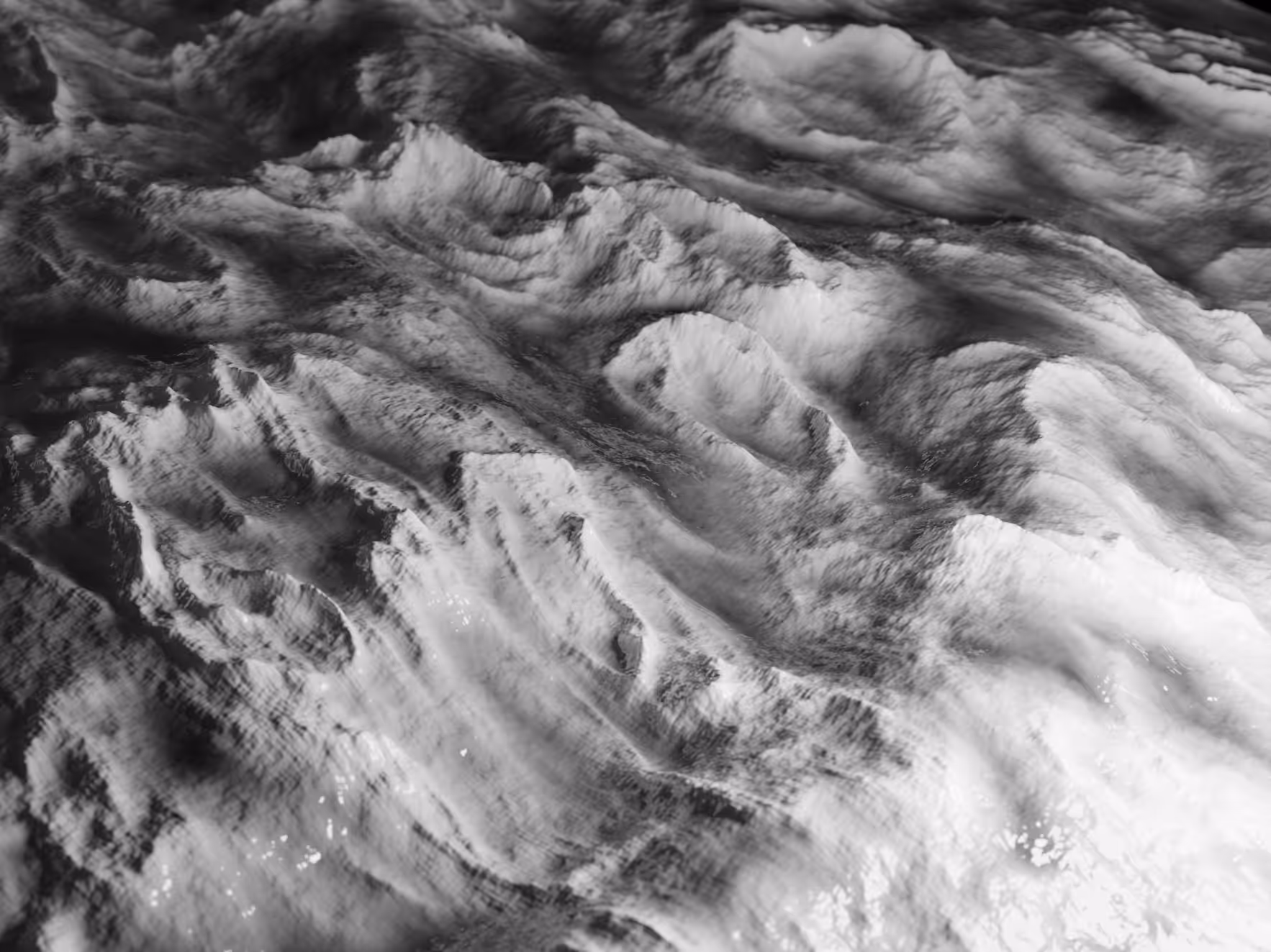 PHYSARUM LANDSCAPE #15
