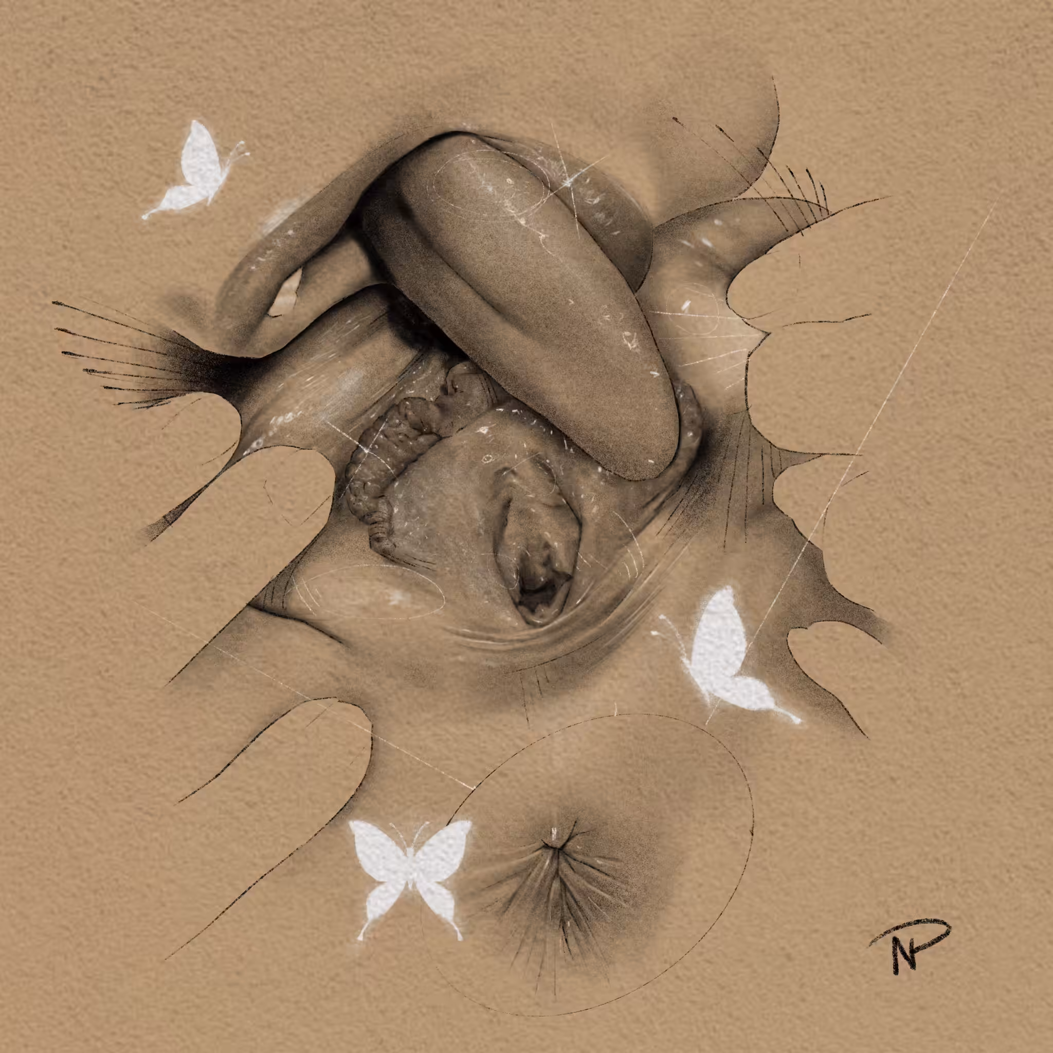 Fairy