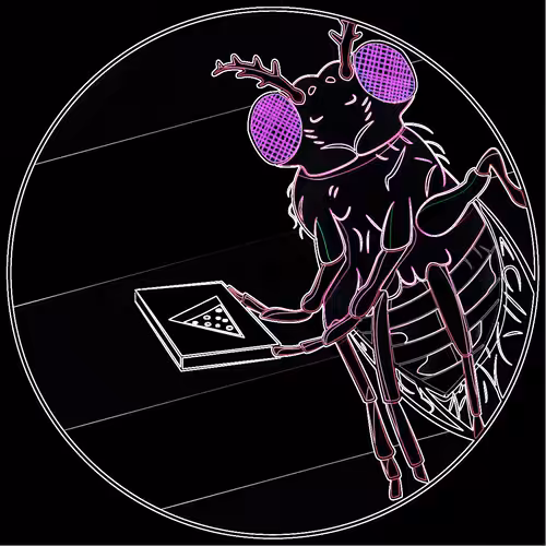 Fly socials: Drossy the fruit fly #11