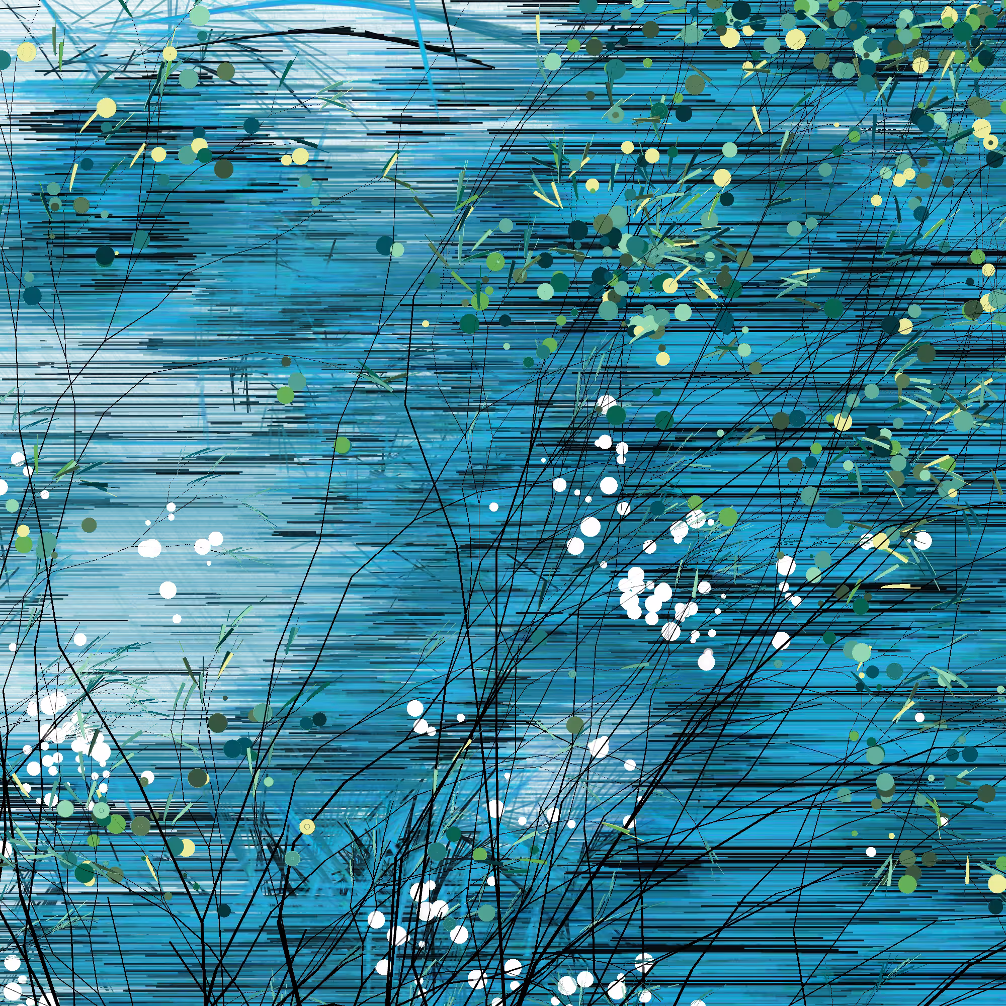 Pond