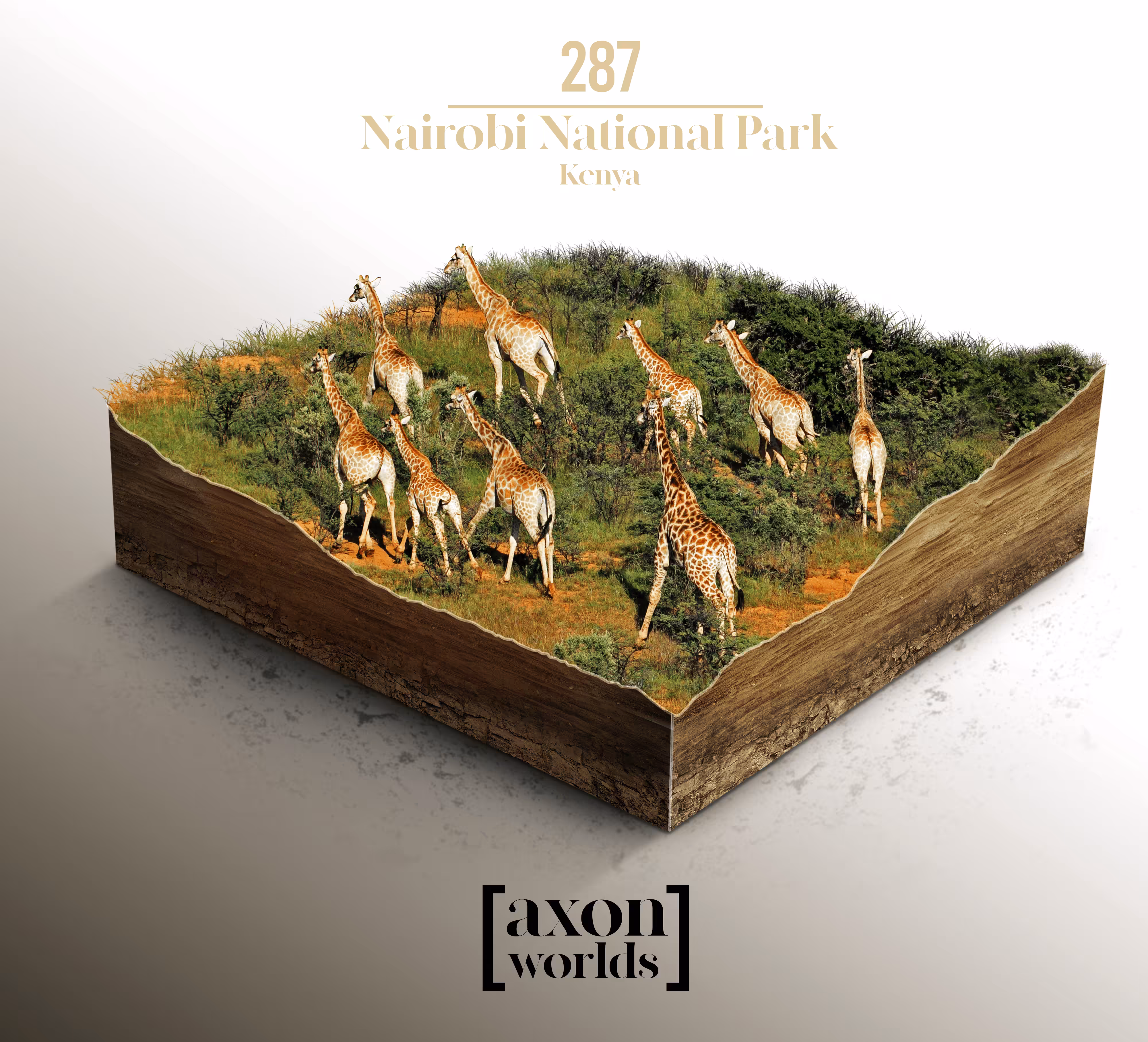 AXON WORLD | 287/1423 | NAIROBI NATIONAL PARK | KENYA | MICRO WORLD