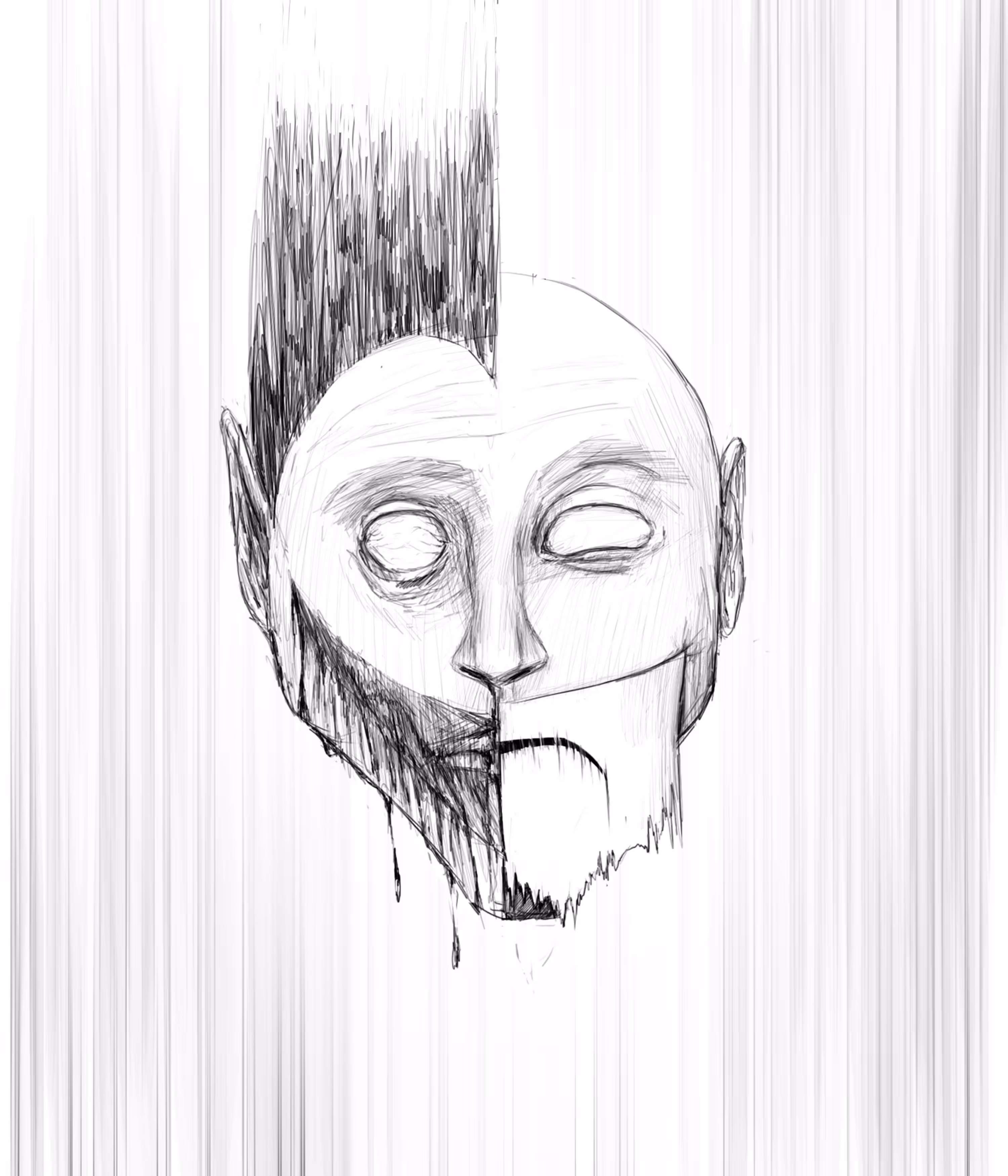 Hidden Face