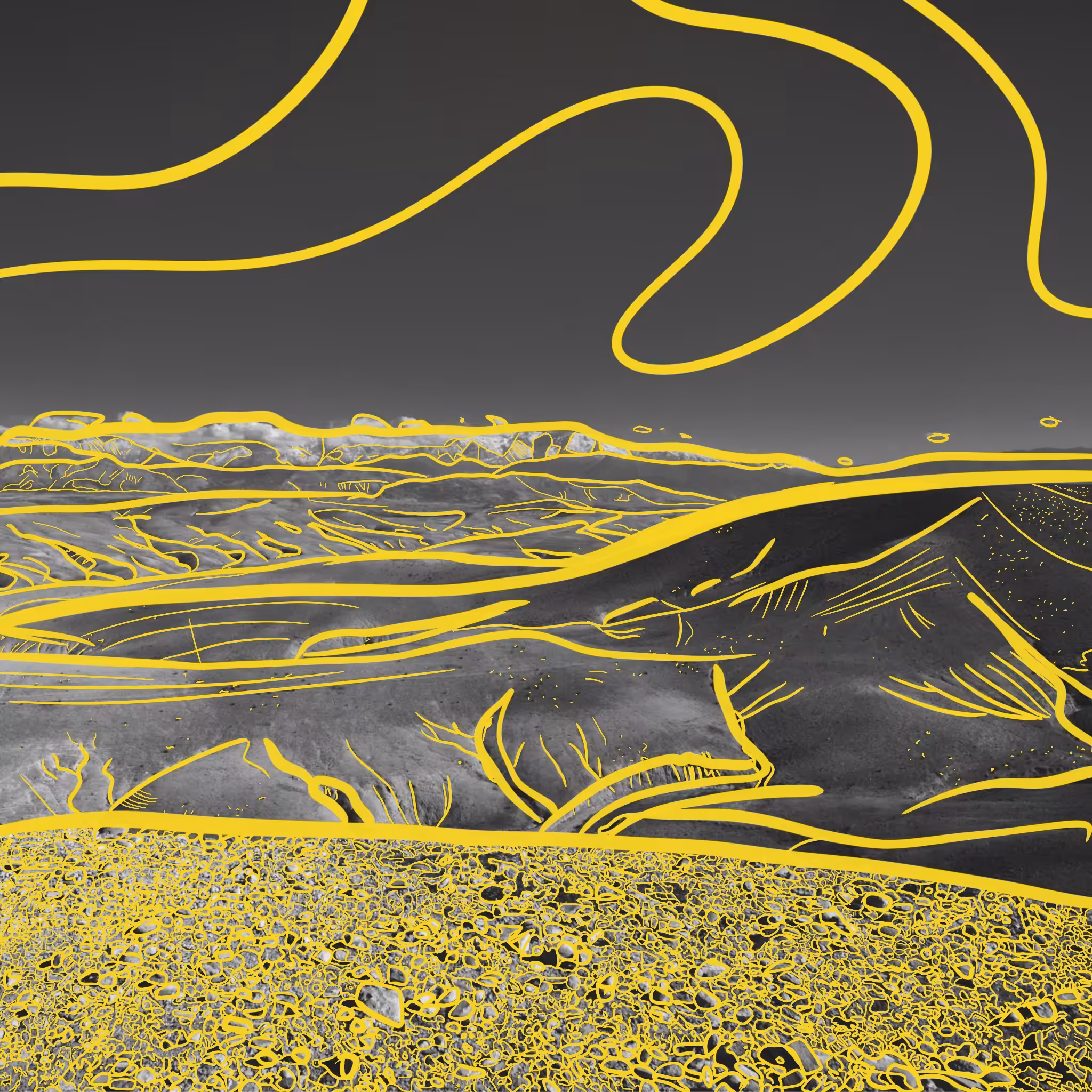 DESERT