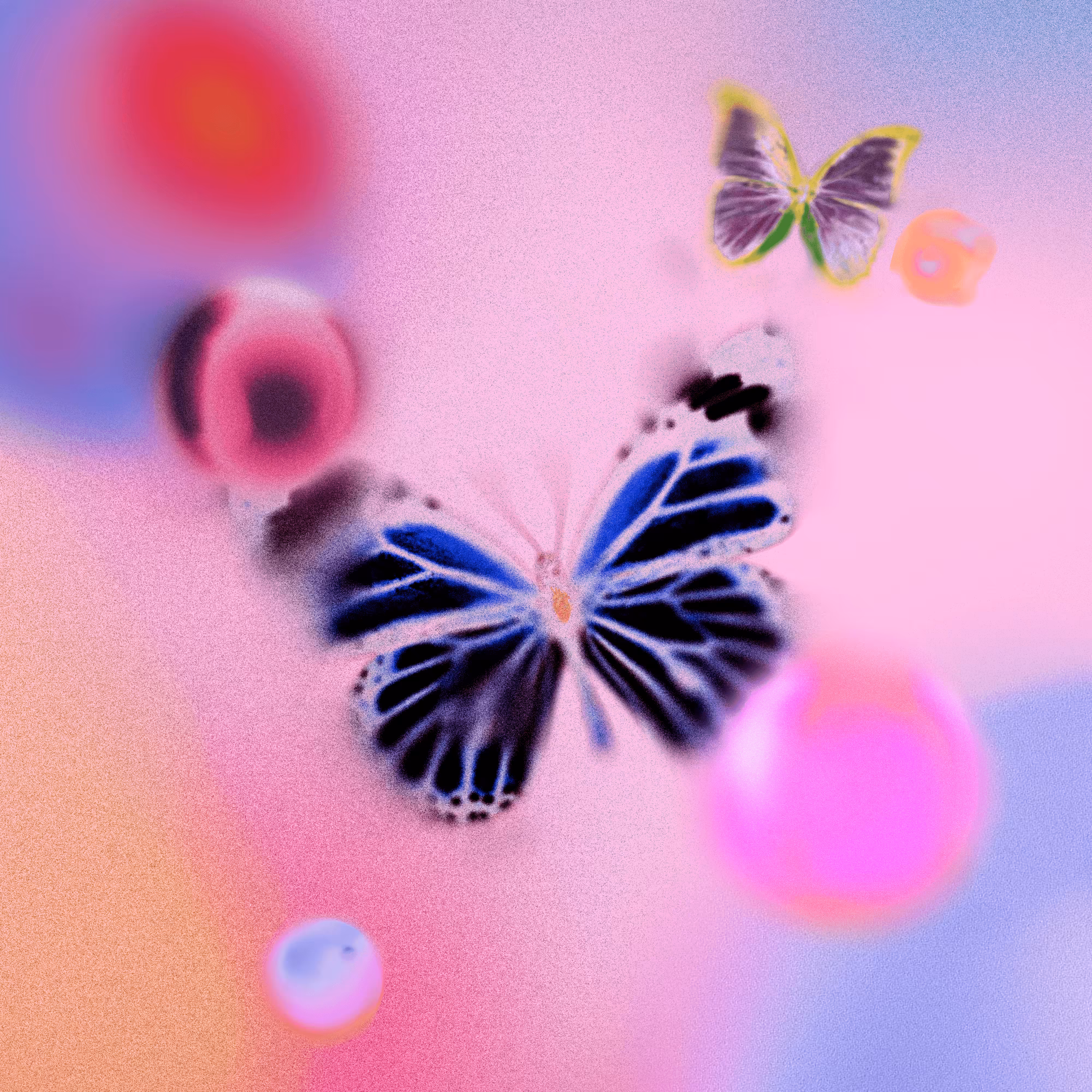 METAmorphose